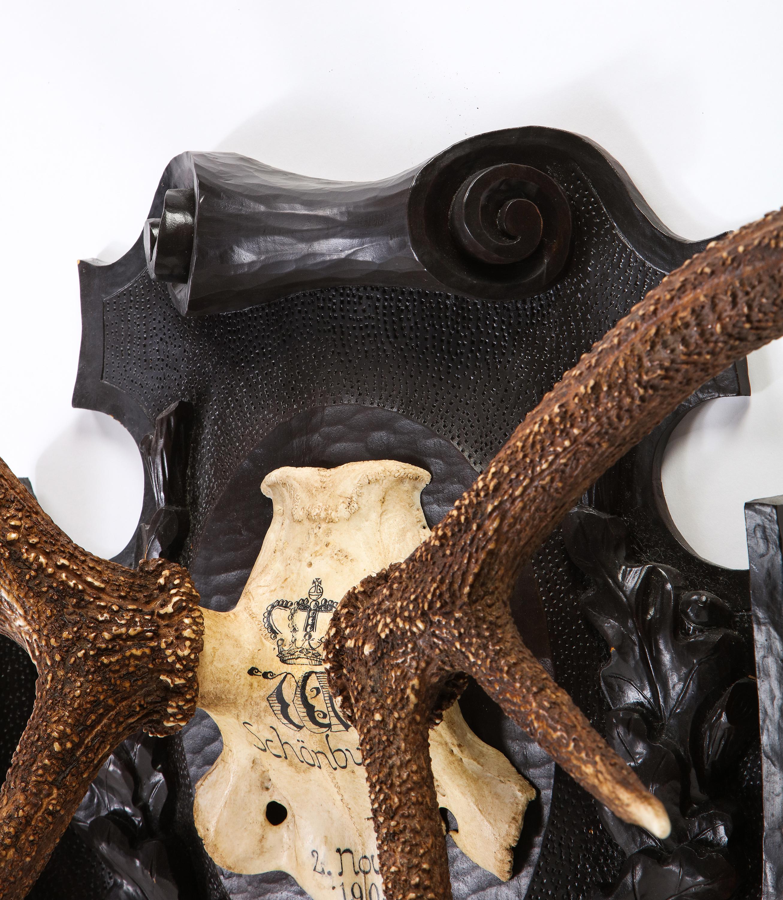 Pair of Swiss 'Black Forest' Antler Carved Trophy Mounts, Dated 1906 and 1906 For Sale 10