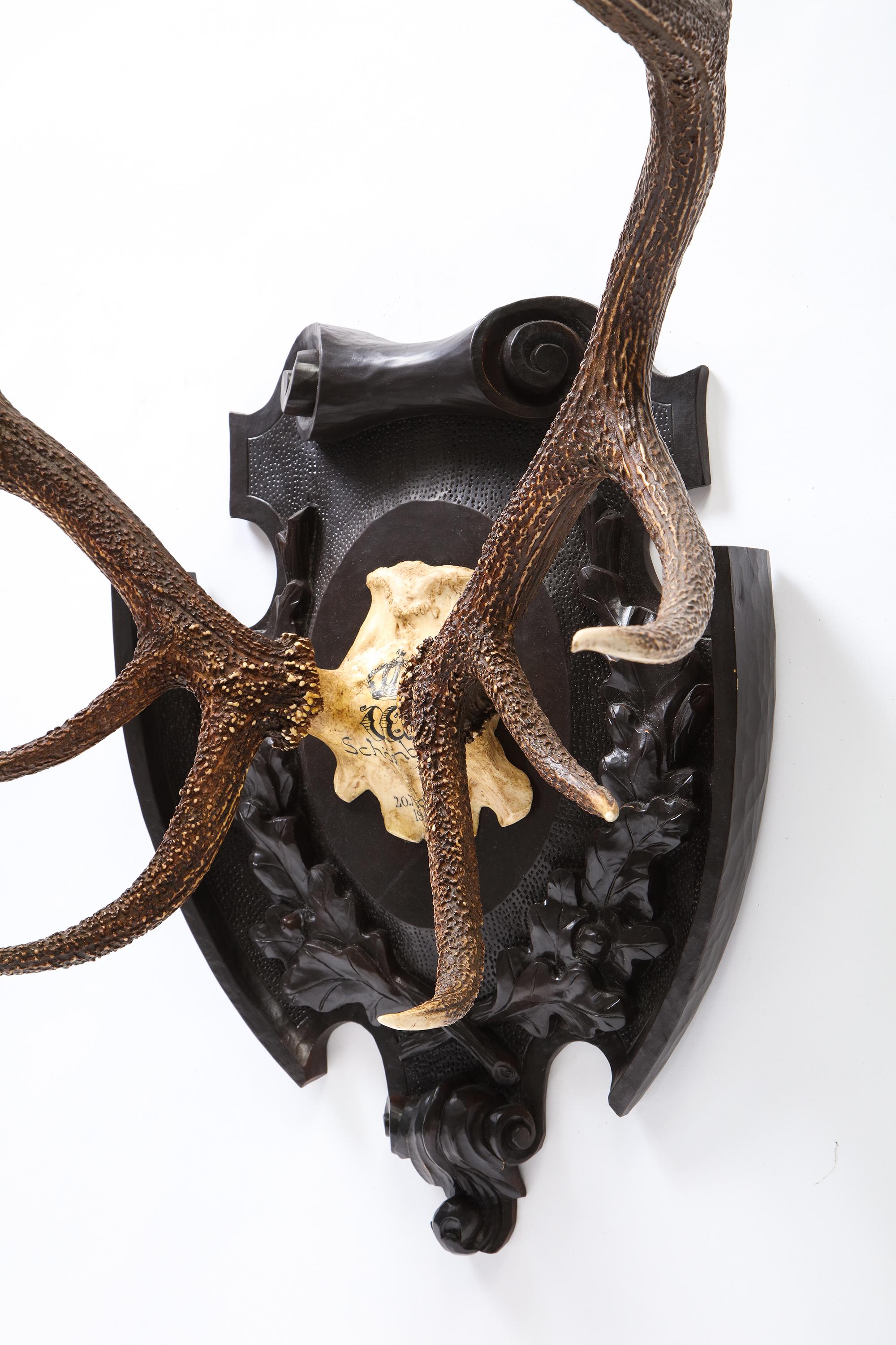 Pair of Swiss 'Black Forest' Antler Carved Trophy Mounts, Dated 1906 and 1906 For Sale 12