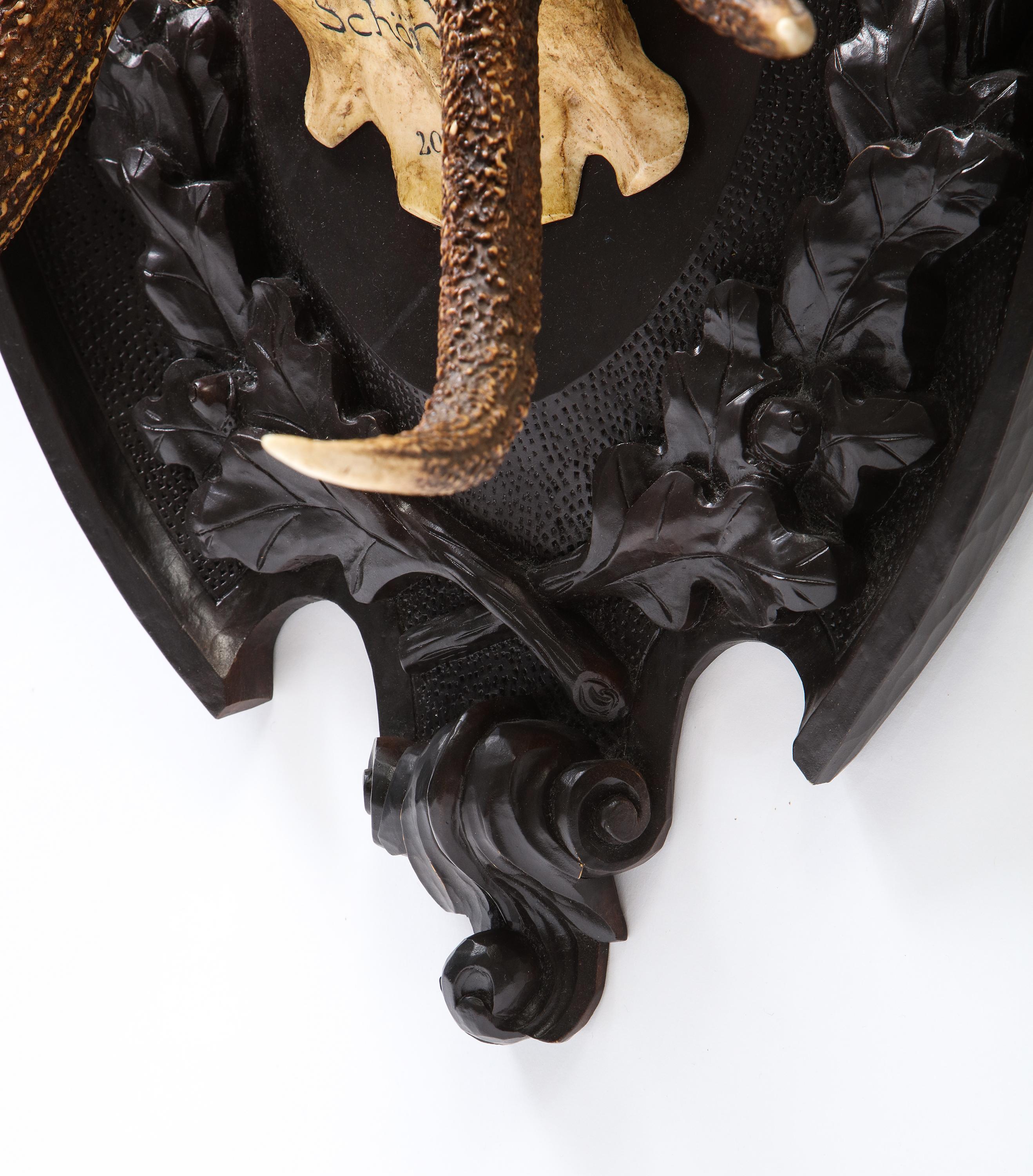 Pair of Swiss 'Black Forest' Antler Carved Trophy Mounts, Dated 1906 and 1906 For Sale 13
