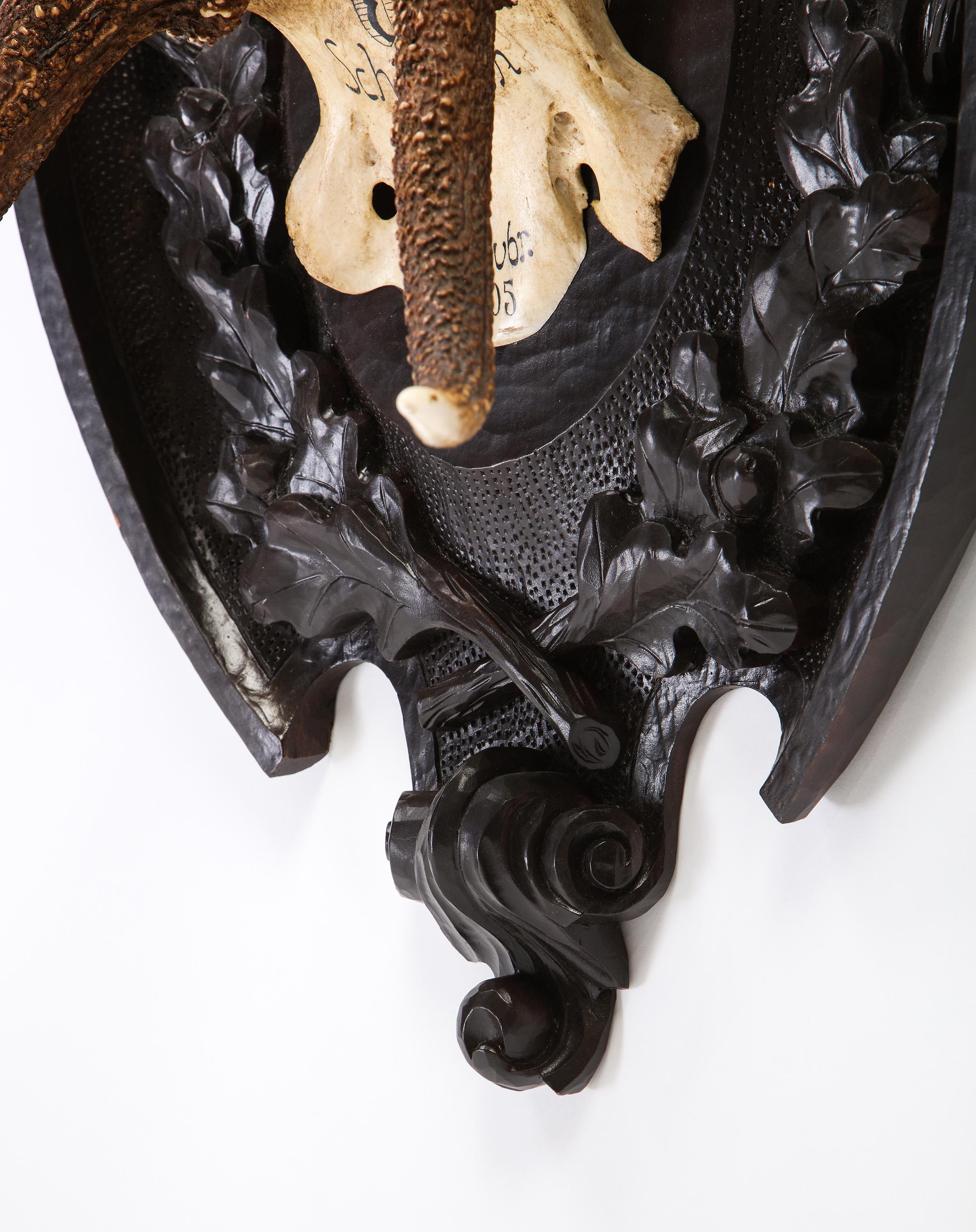 Pair of Swiss 'Black Forest' Antler Carved Trophy Mounts, Dated 1906 and 1906 For Sale 3