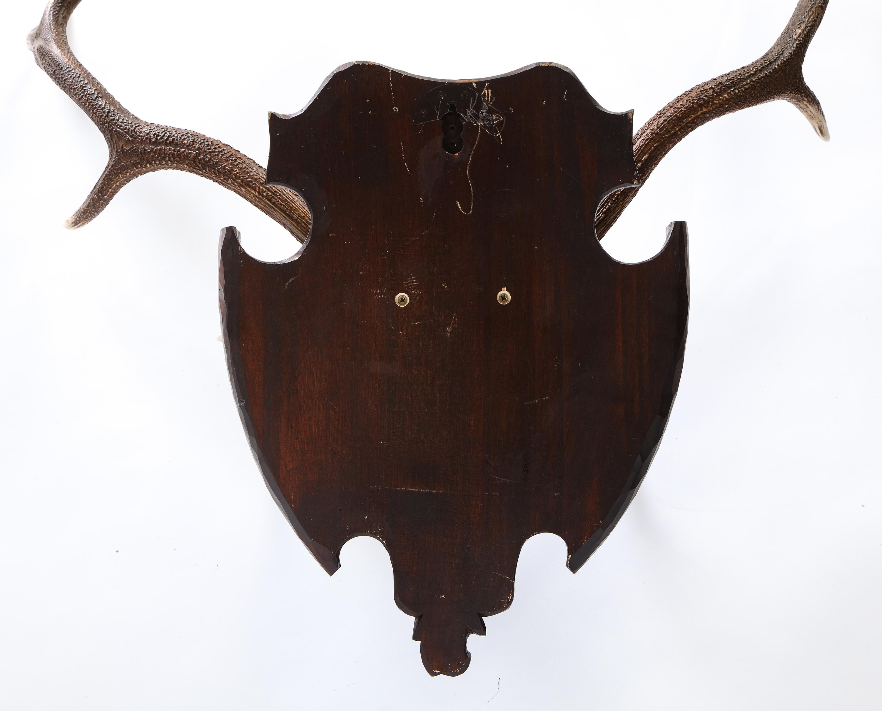 Pair of Swiss 'Black Forest' Antler Carved Trophy Mounts, Dated 1906 and 1906 For Sale 4