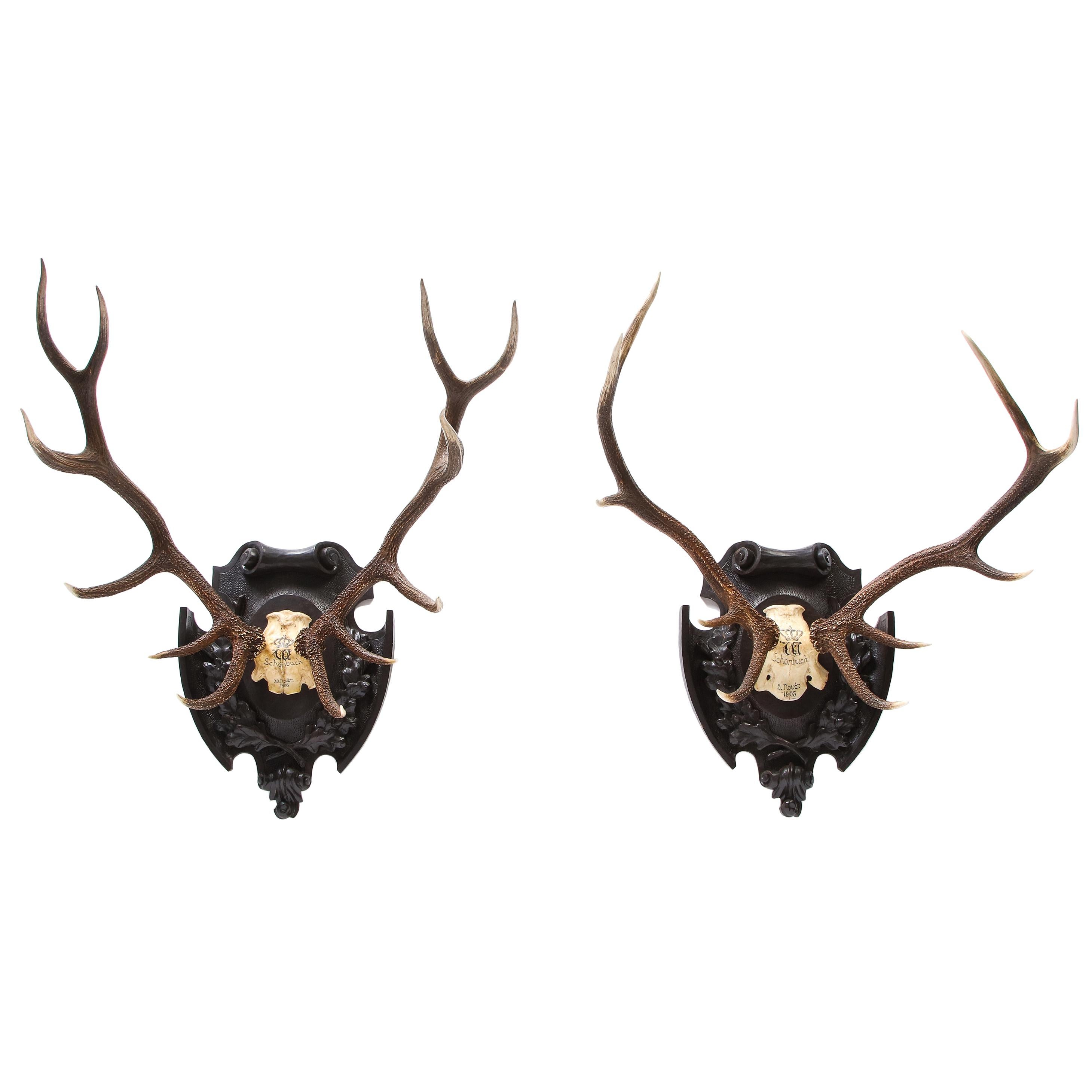 Pair of Swiss 'Black Forest' Antler Carved Trophy Mounts, Dated 1906 and 1906 For Sale