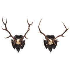Pair of Swiss 'Black Forest' Antler Carved Trophy Mounts, Dated 1906 and 1906