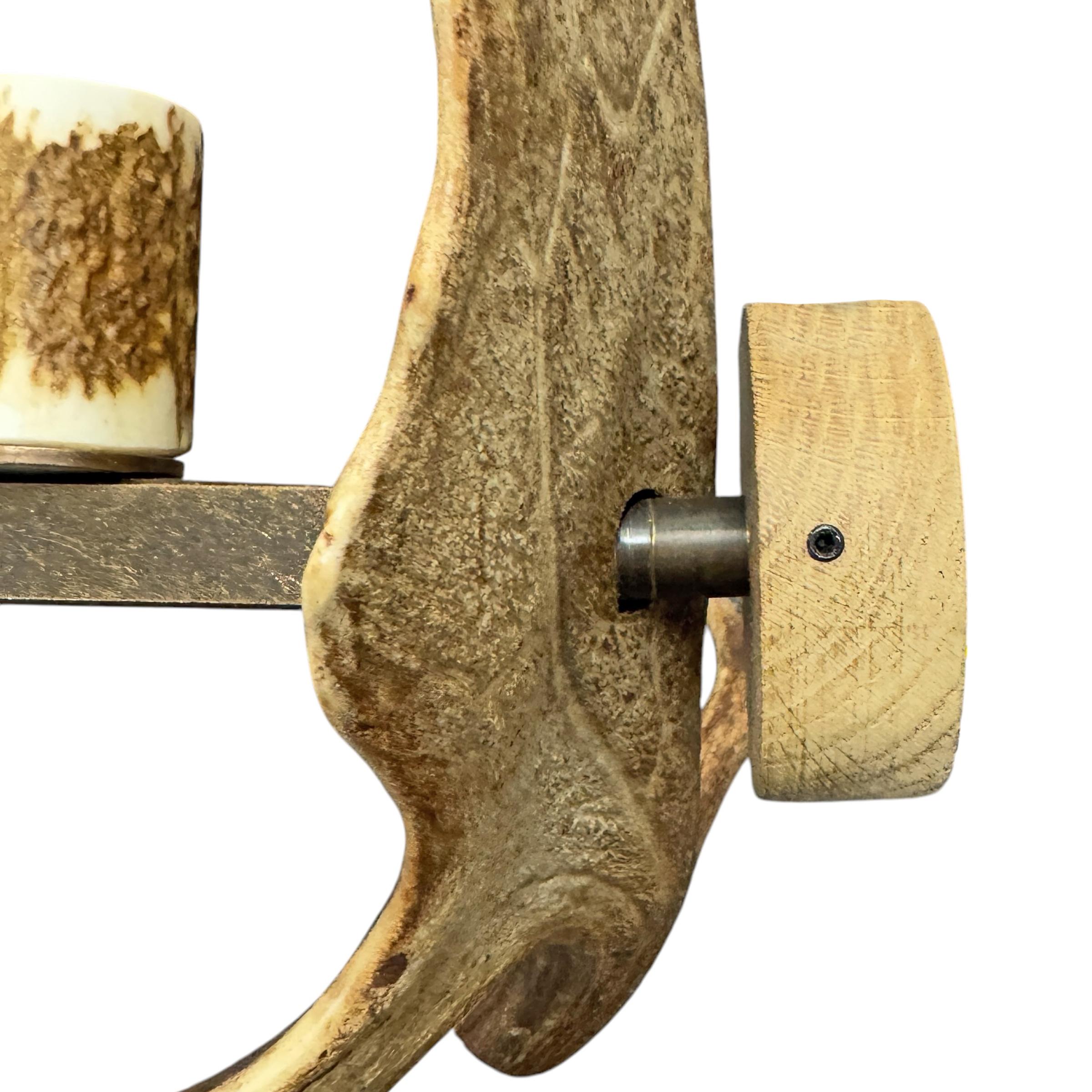 Pair of Swiss Fallow Deer Antler Sconces 7