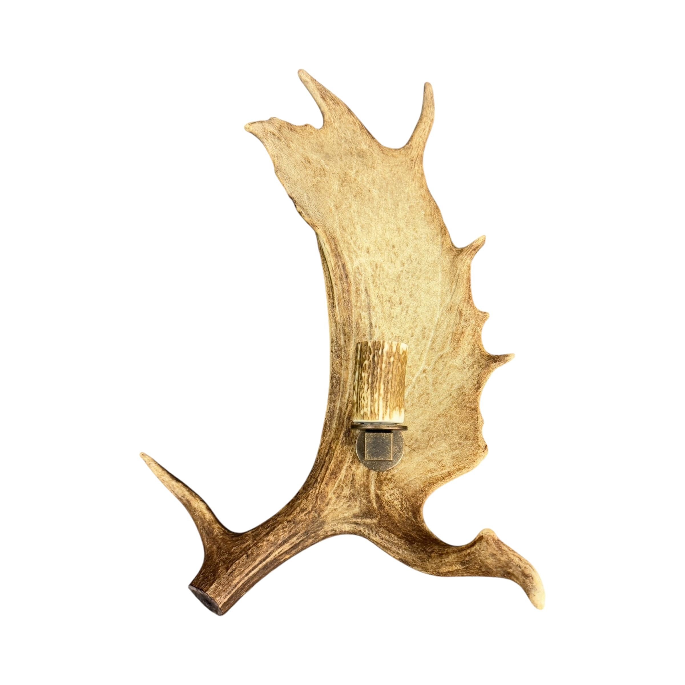 Pair of Swiss Fallow Deer Antler Sconces In Good Condition In Chicago, IL