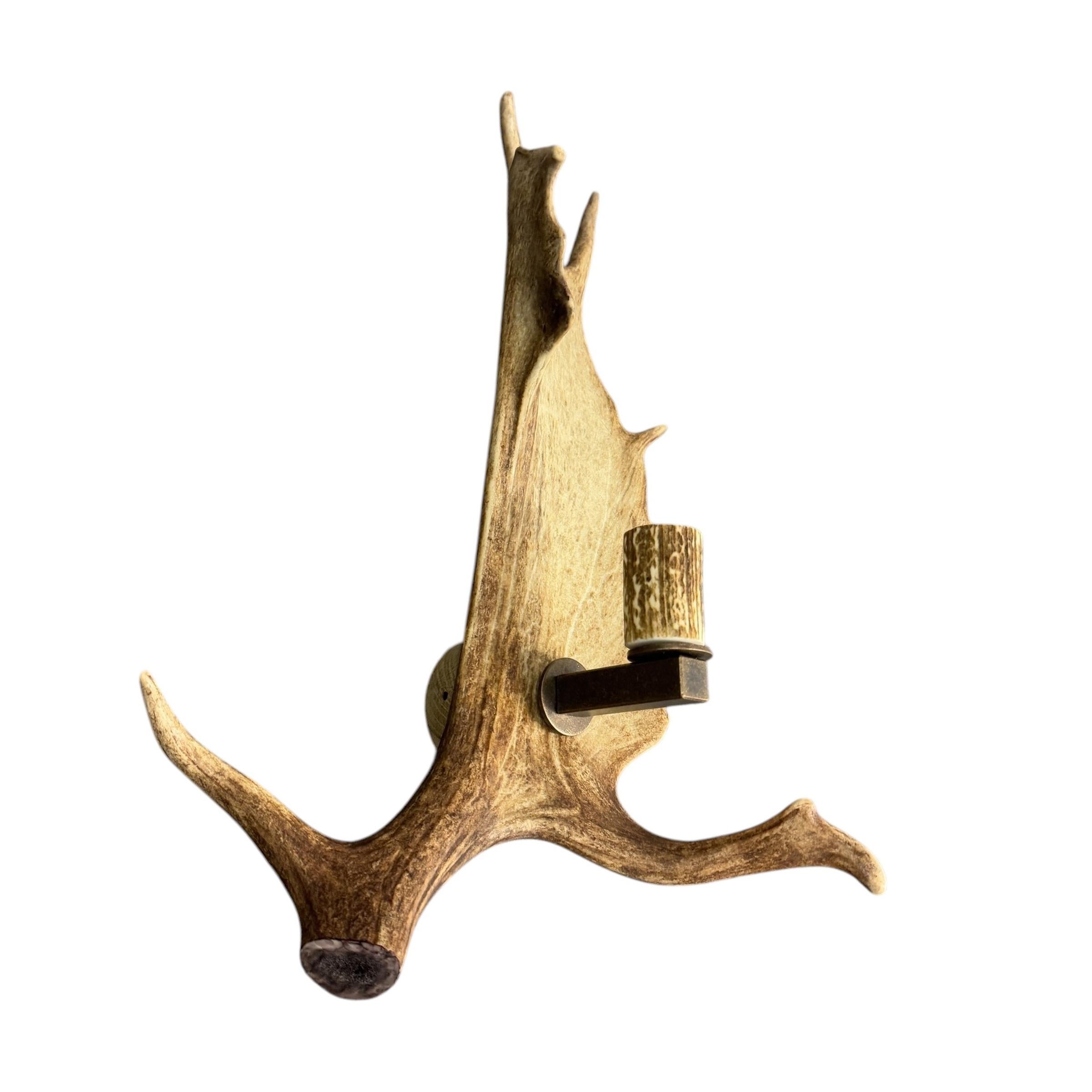 Pair of Swiss Fallow Deer Antler Sconces 1