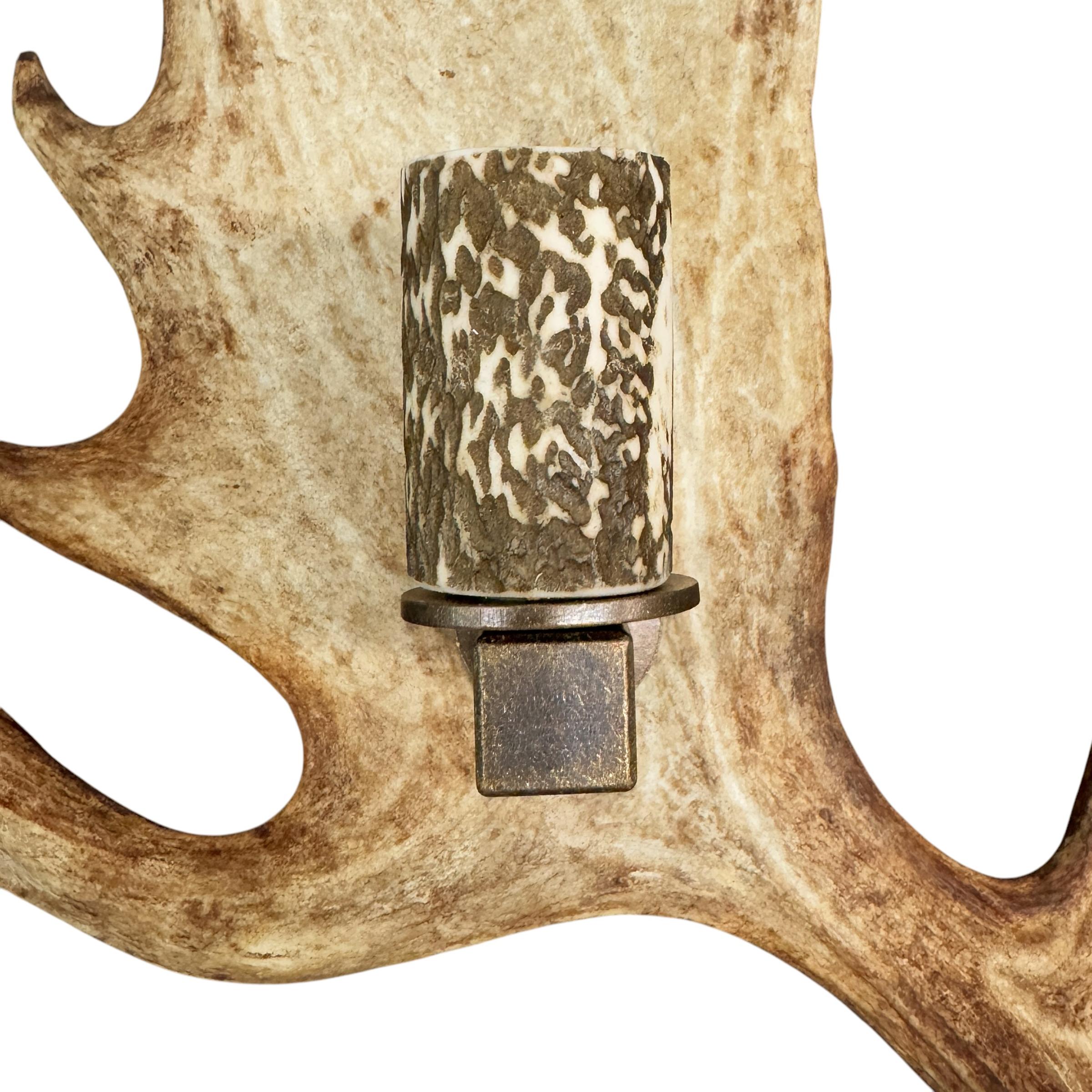 Pair of Swiss Fallow Deer Antler Sconces 3