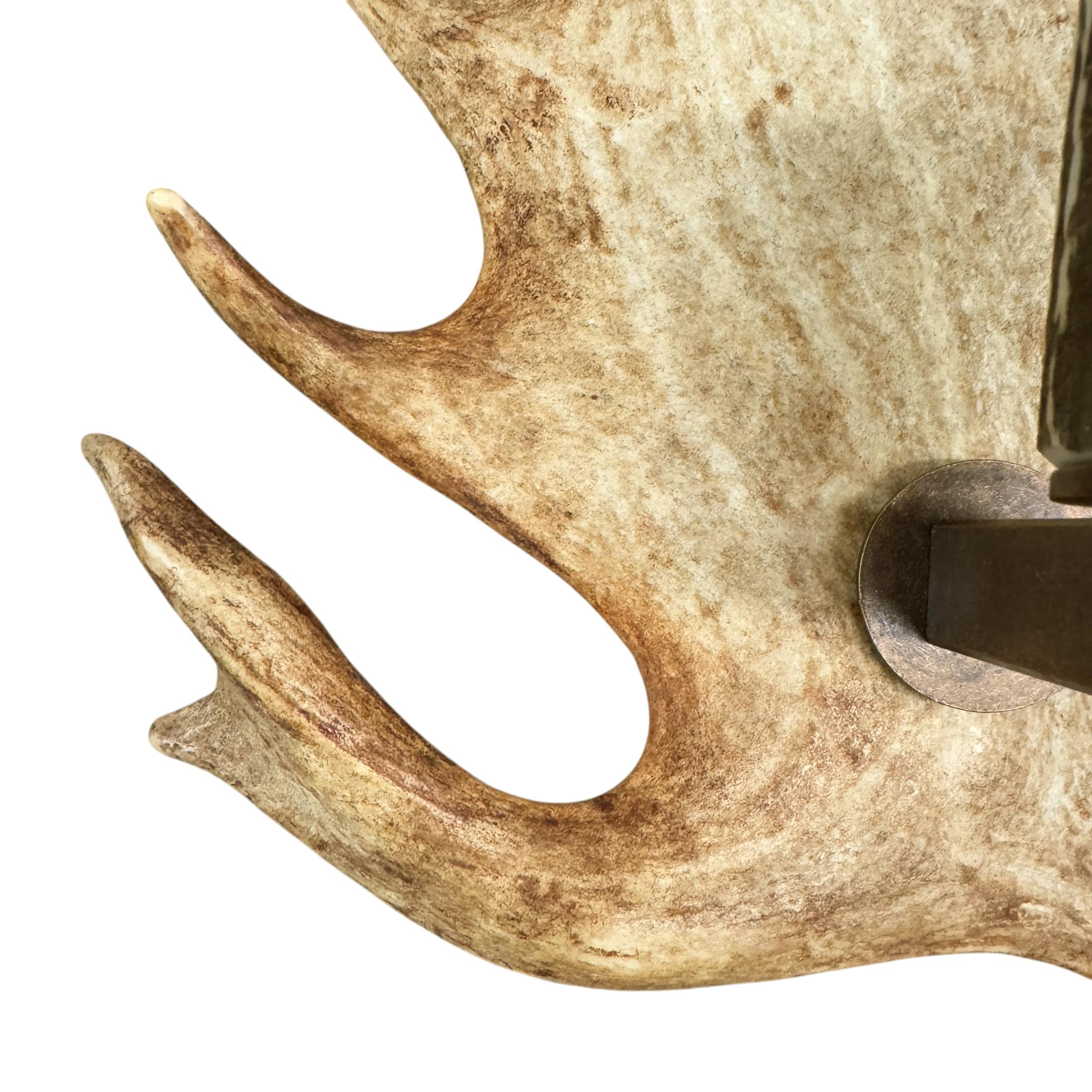 Pair of Swiss Fallow Deer Antler Sconces 4