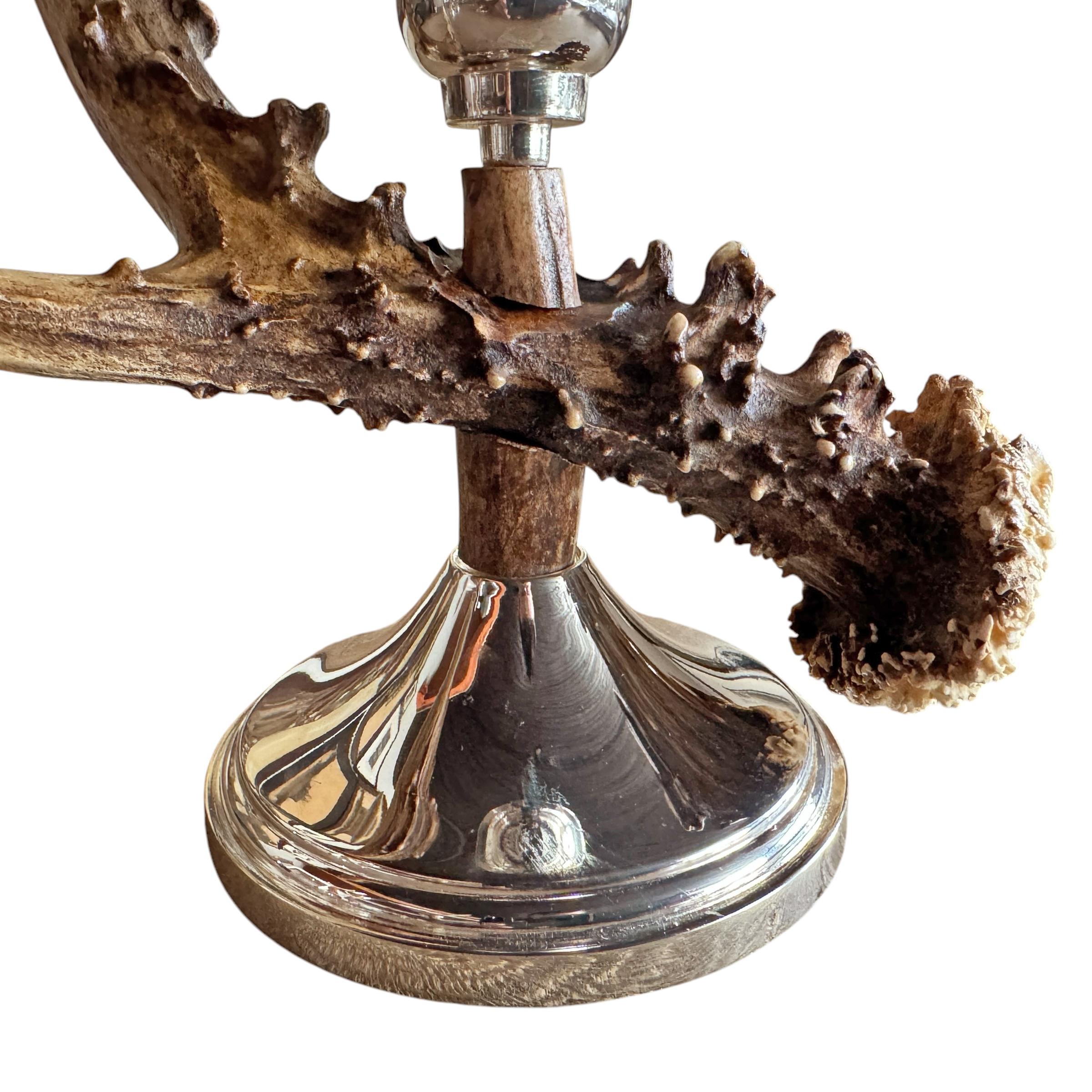 Coppia di candelabri svizzeri di cervo in vendita 5