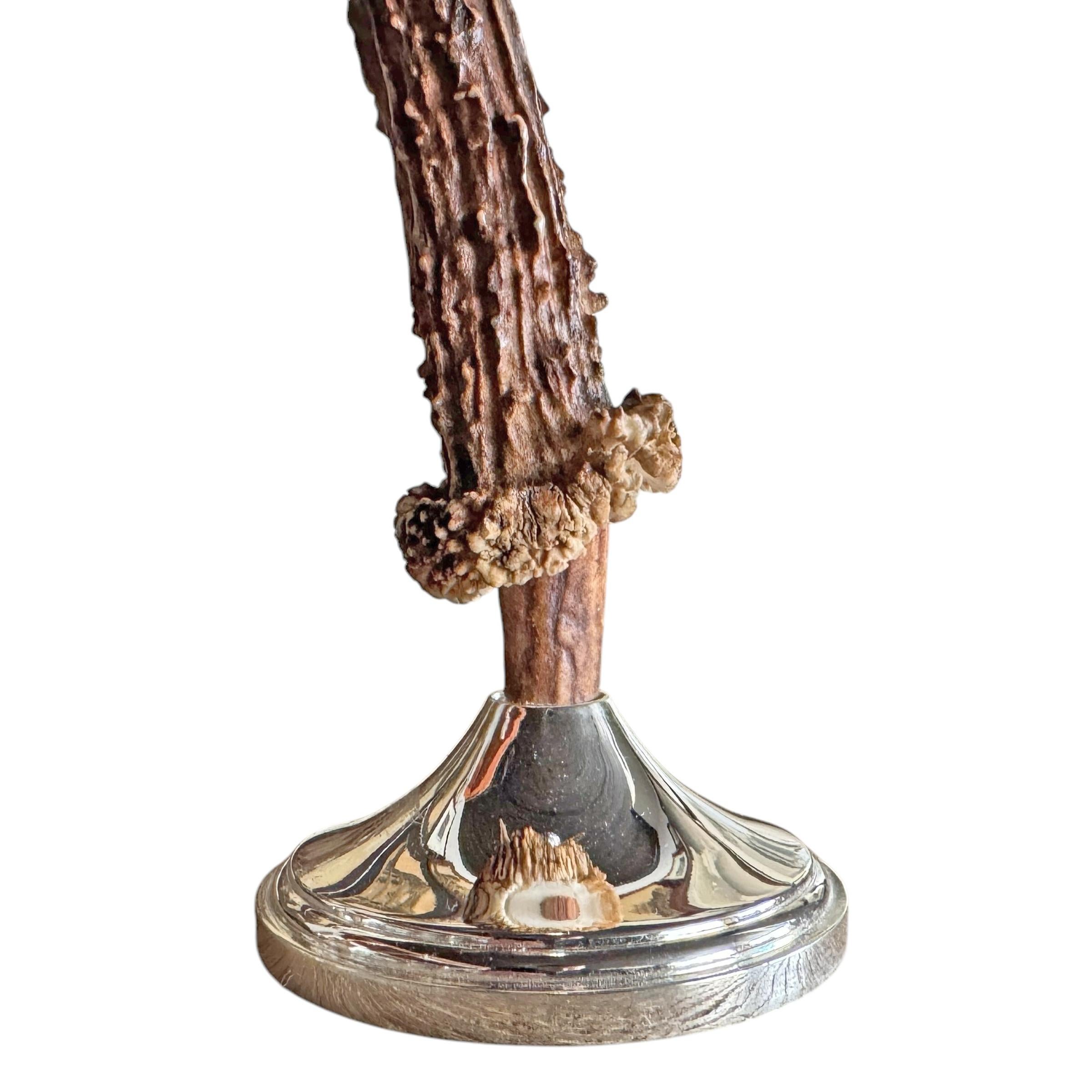 Pair of Swiss Roe Deer Candlesticks For Sale 6
