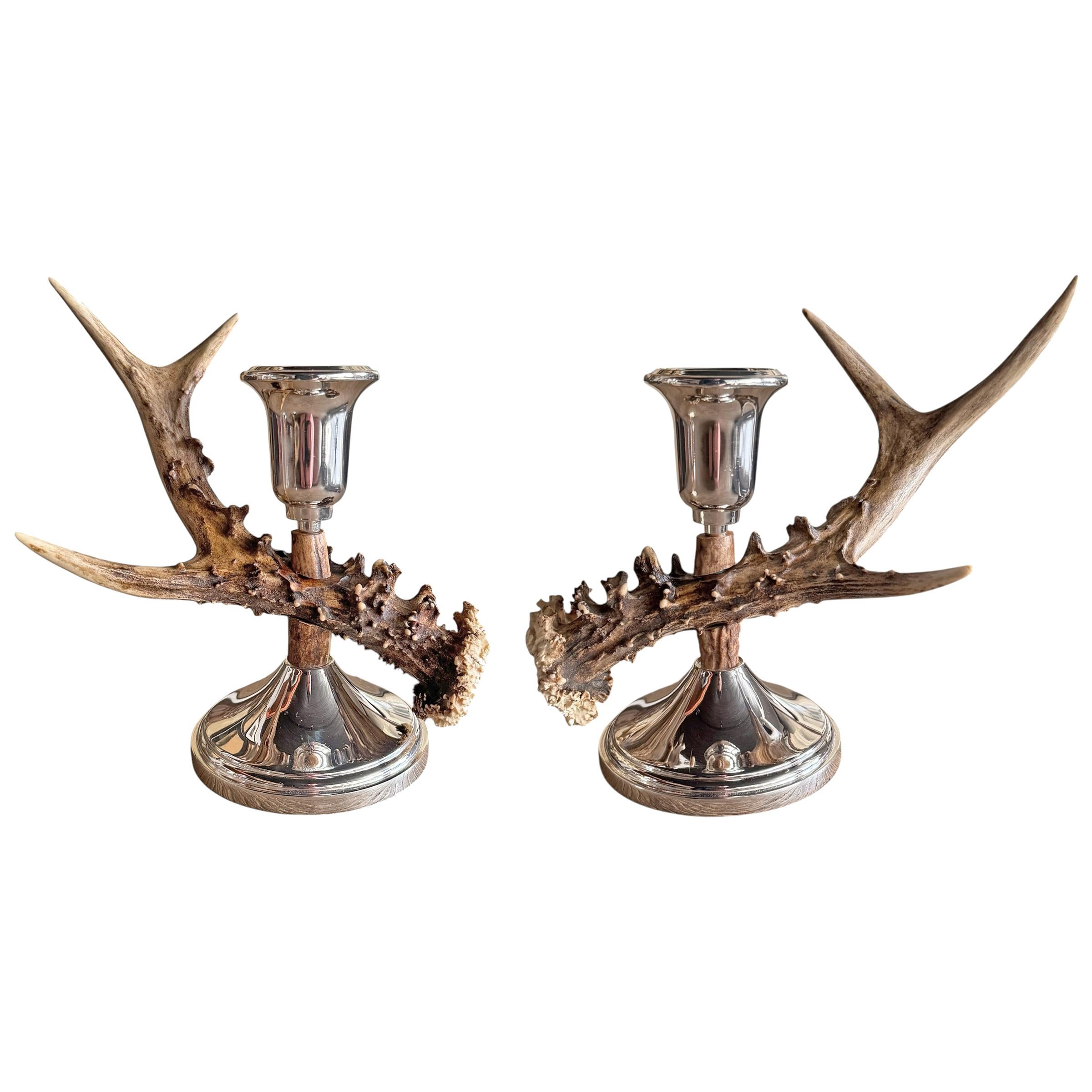 Rustico Coppia di candelabri svizzeri di cervo in vendita
