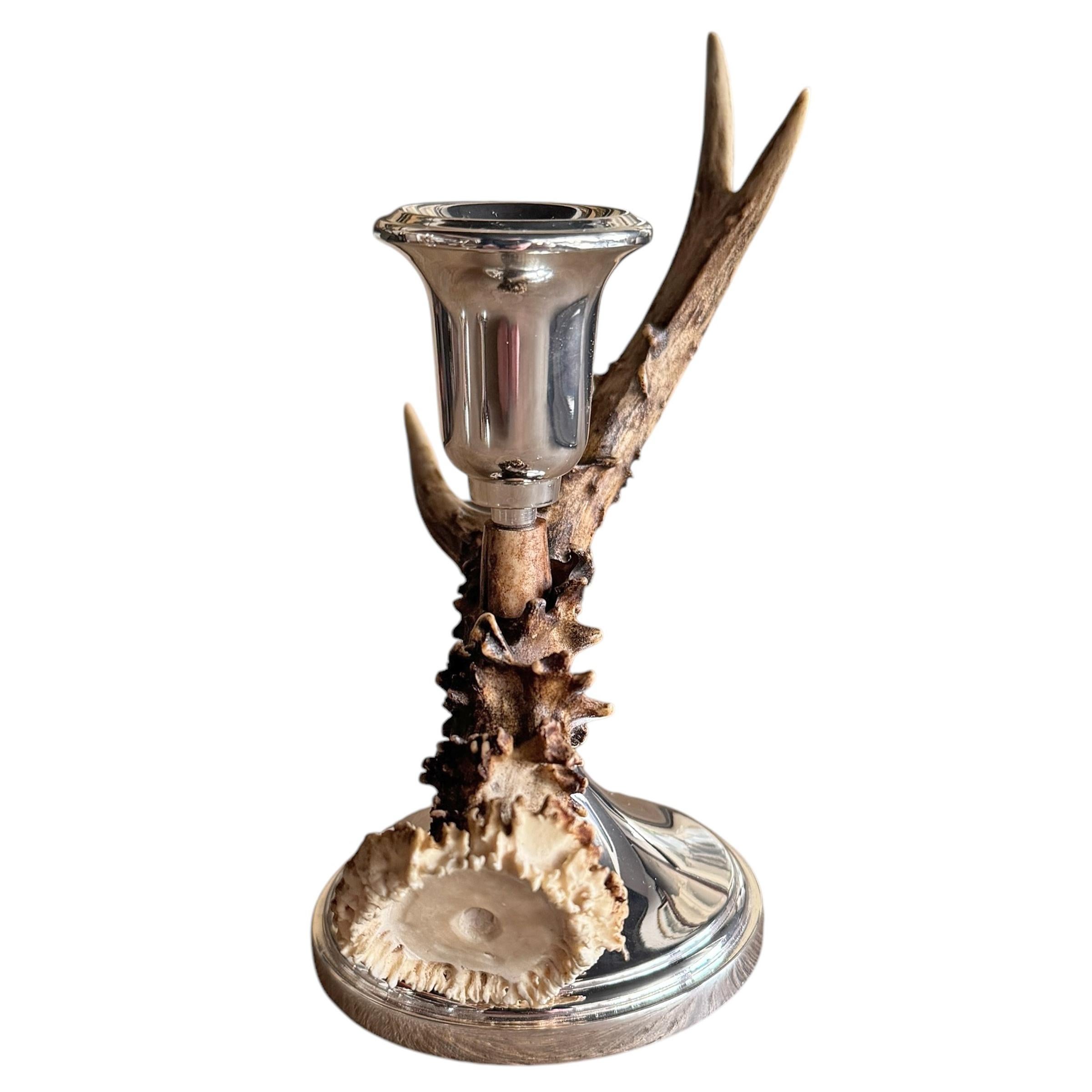 Coppia di candelabri svizzeri di cervo in vendita 1