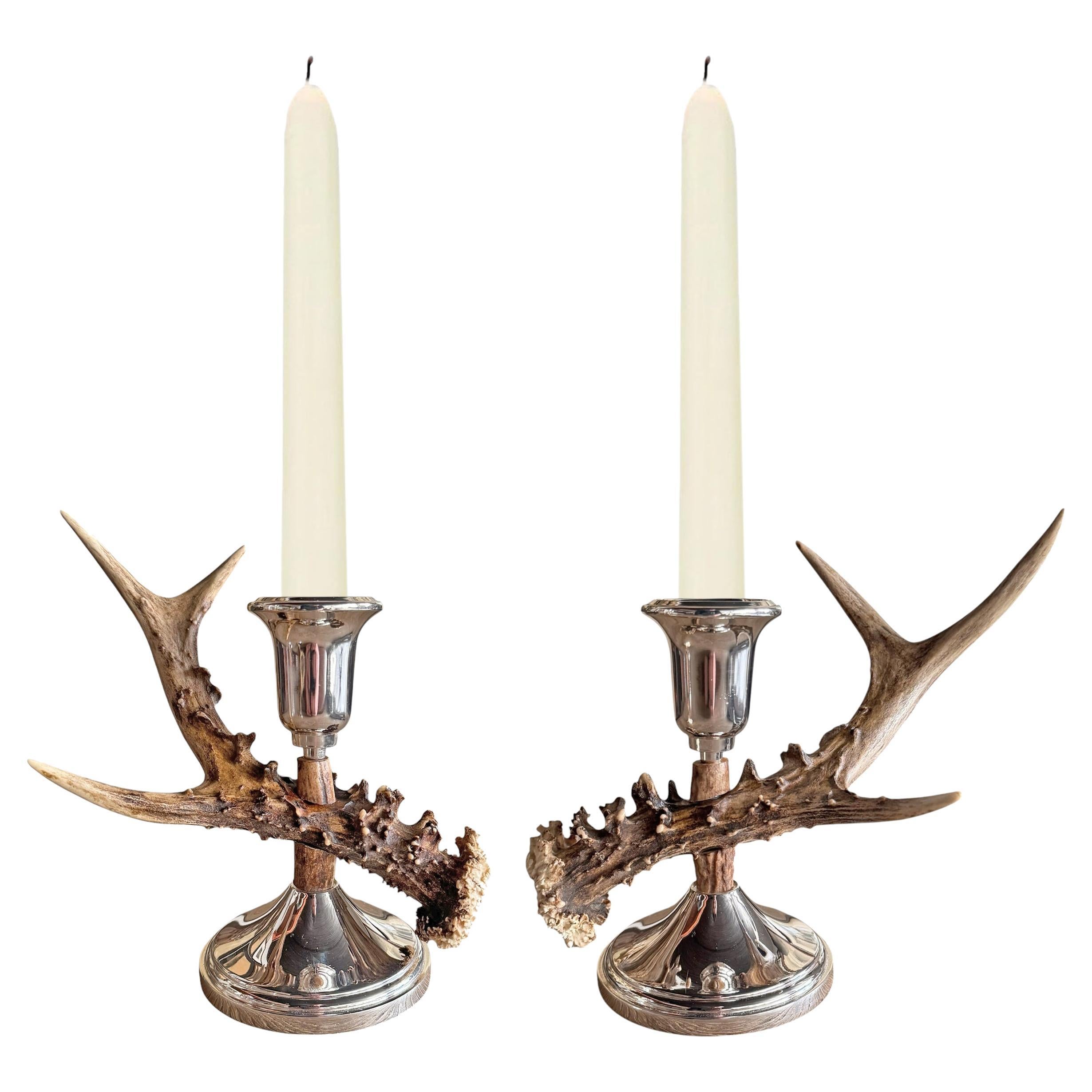 Coppia di candelabri svizzeri di cervo in vendita