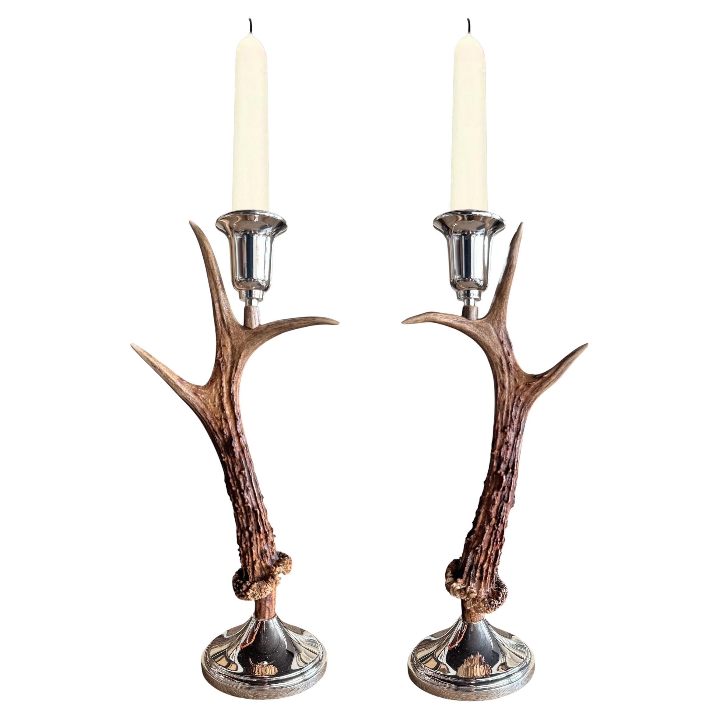 Coppia di candelabri svizzeri di cervo