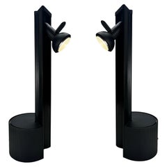 Pair of table lamps by Franco Albini for Sirrah, model Colibrì, Italy
