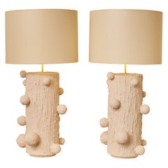 Paire de lampes de bureau par Nicolet