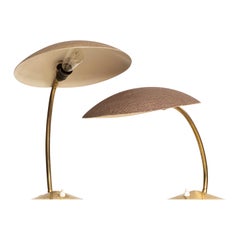 Pair of Table Lamps with Flexible Arms Produced in Germany