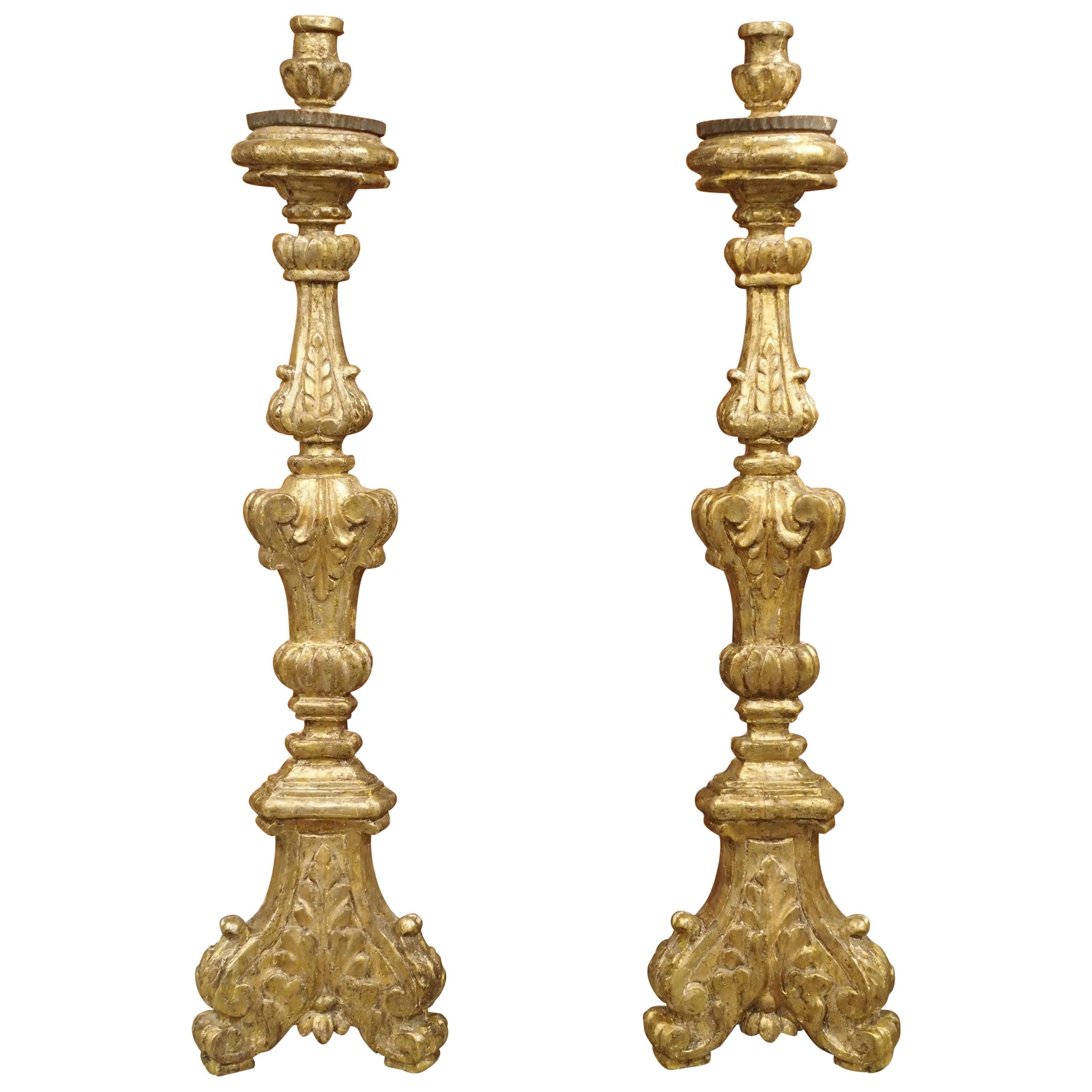 Pair of Tall 18th Century Giltwood Altar Candlesticks from France
