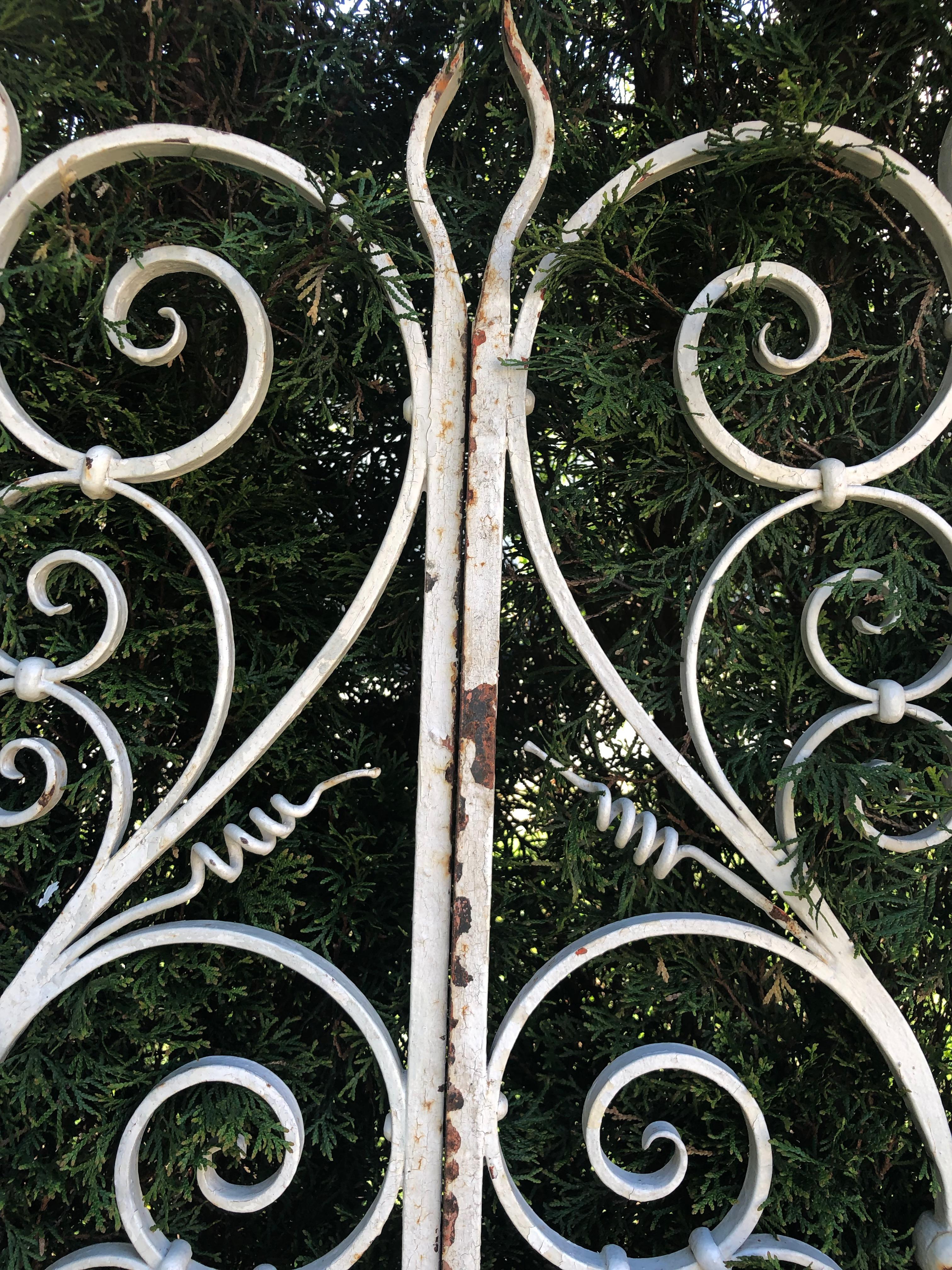 Pair of Tall 19th Century French Wrought Iron Gates 1