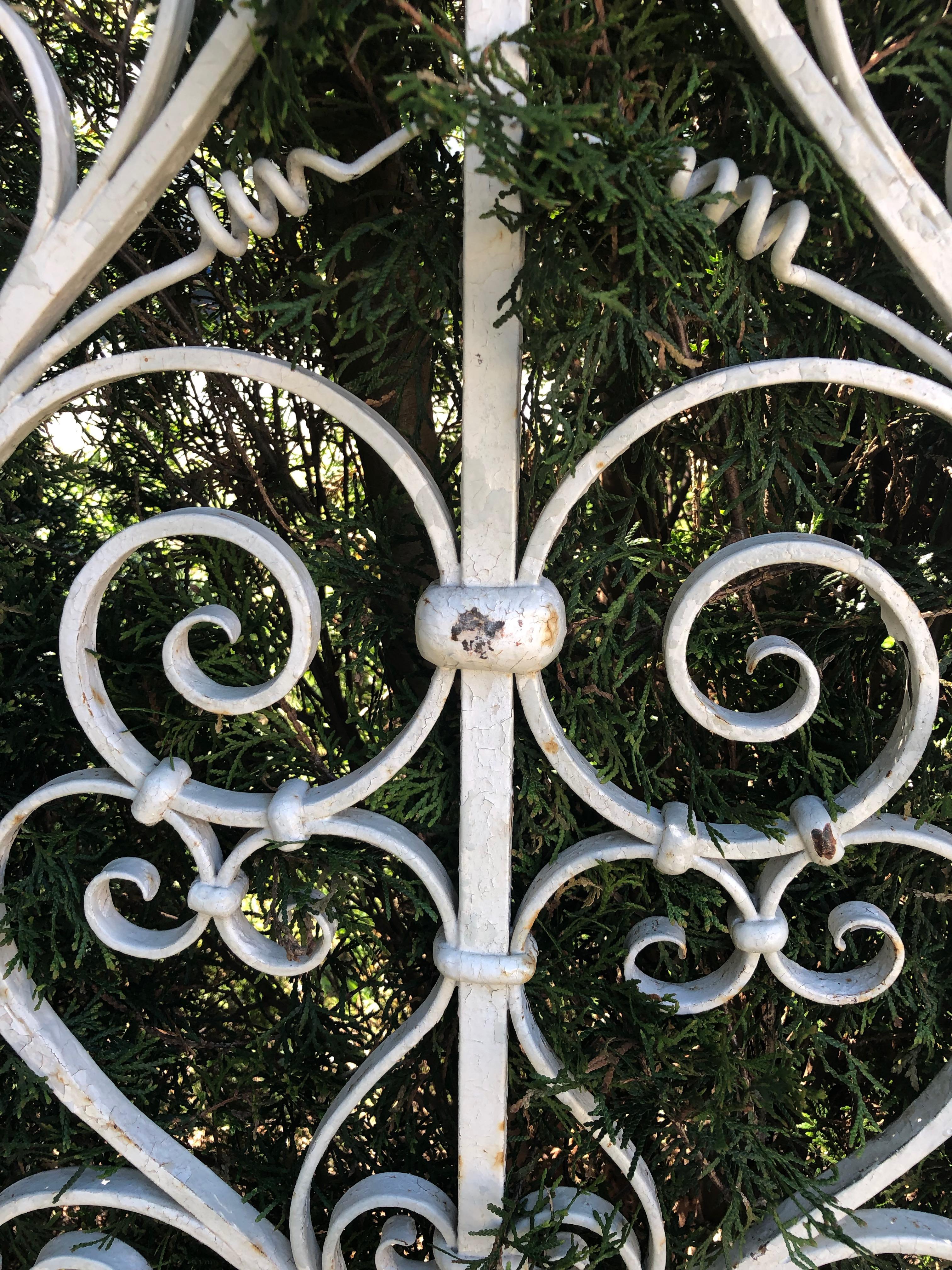 Pair of Tall 19th Century French Wrought Iron Gates 2
