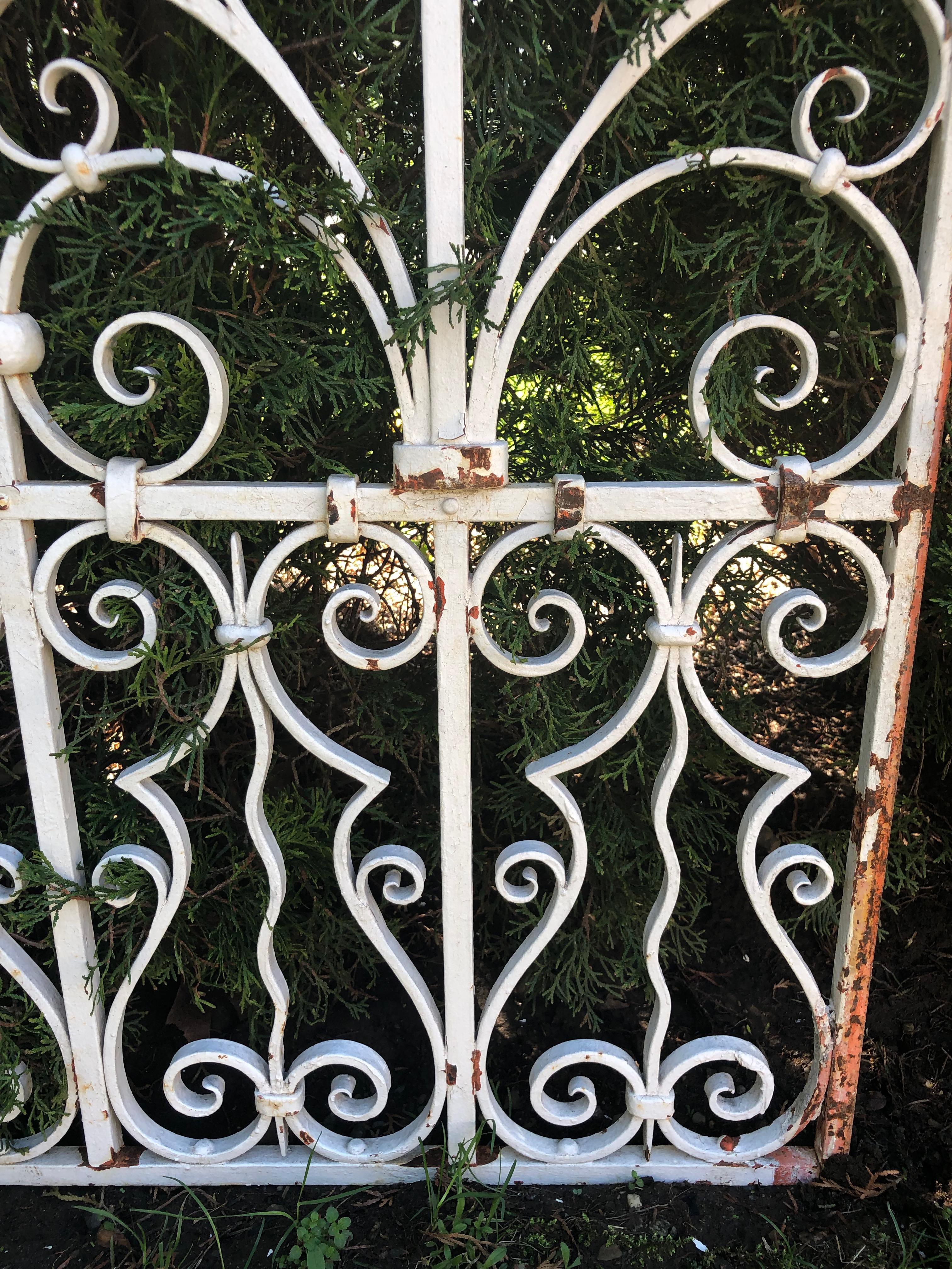 Pair of Tall 19th Century French Wrought Iron Gates 3