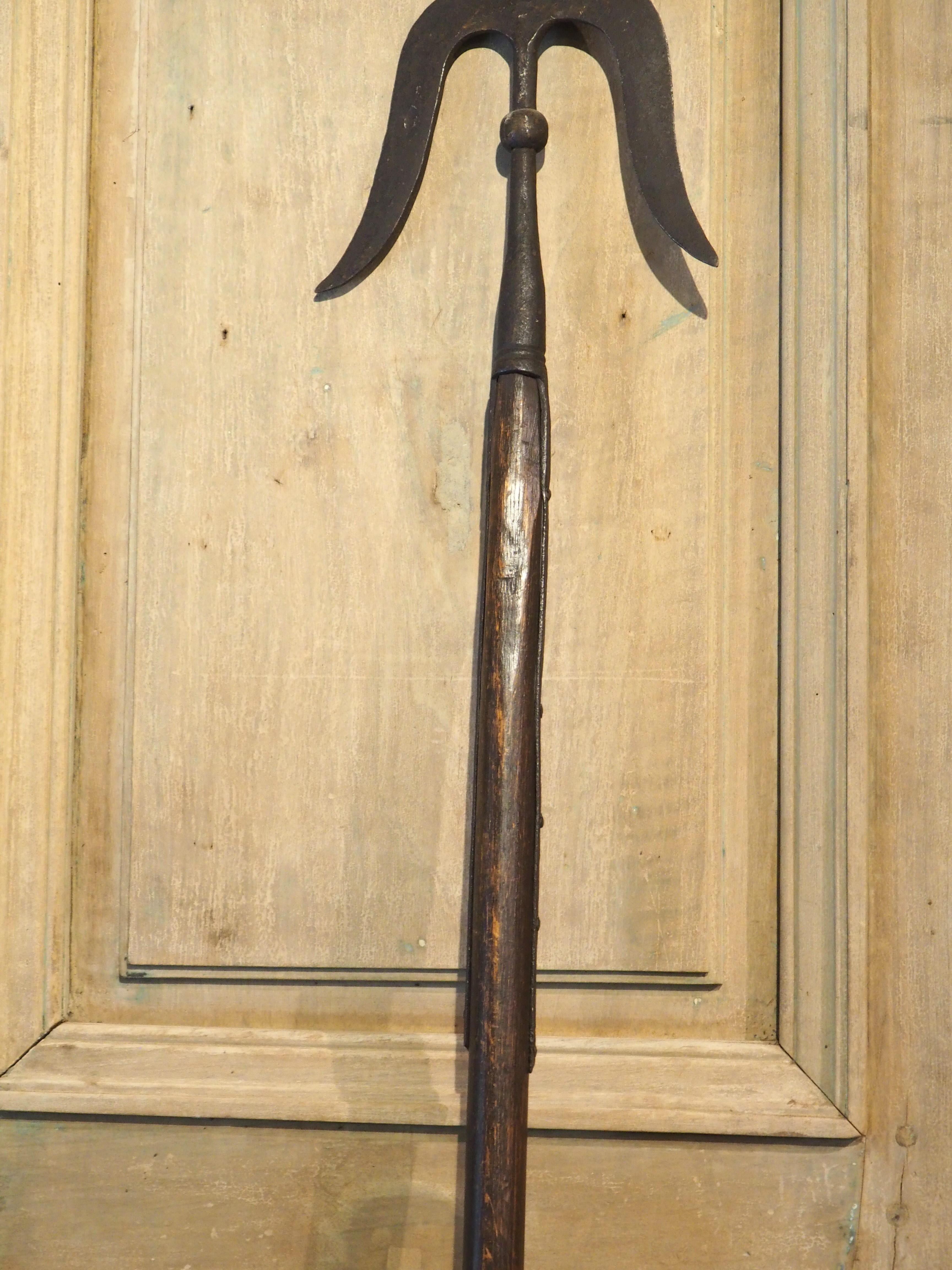 Paire de hauts Halberds décoratifs en bois et en fer, vers 1900 en vente 10