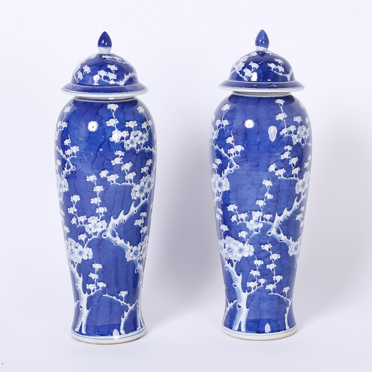 Lofty pair of lidded blue and white jars with a distinctive tall elegant form decorated with cherry blossom or prunius design, in the Chinese export manner, over an alluring deep blue background.