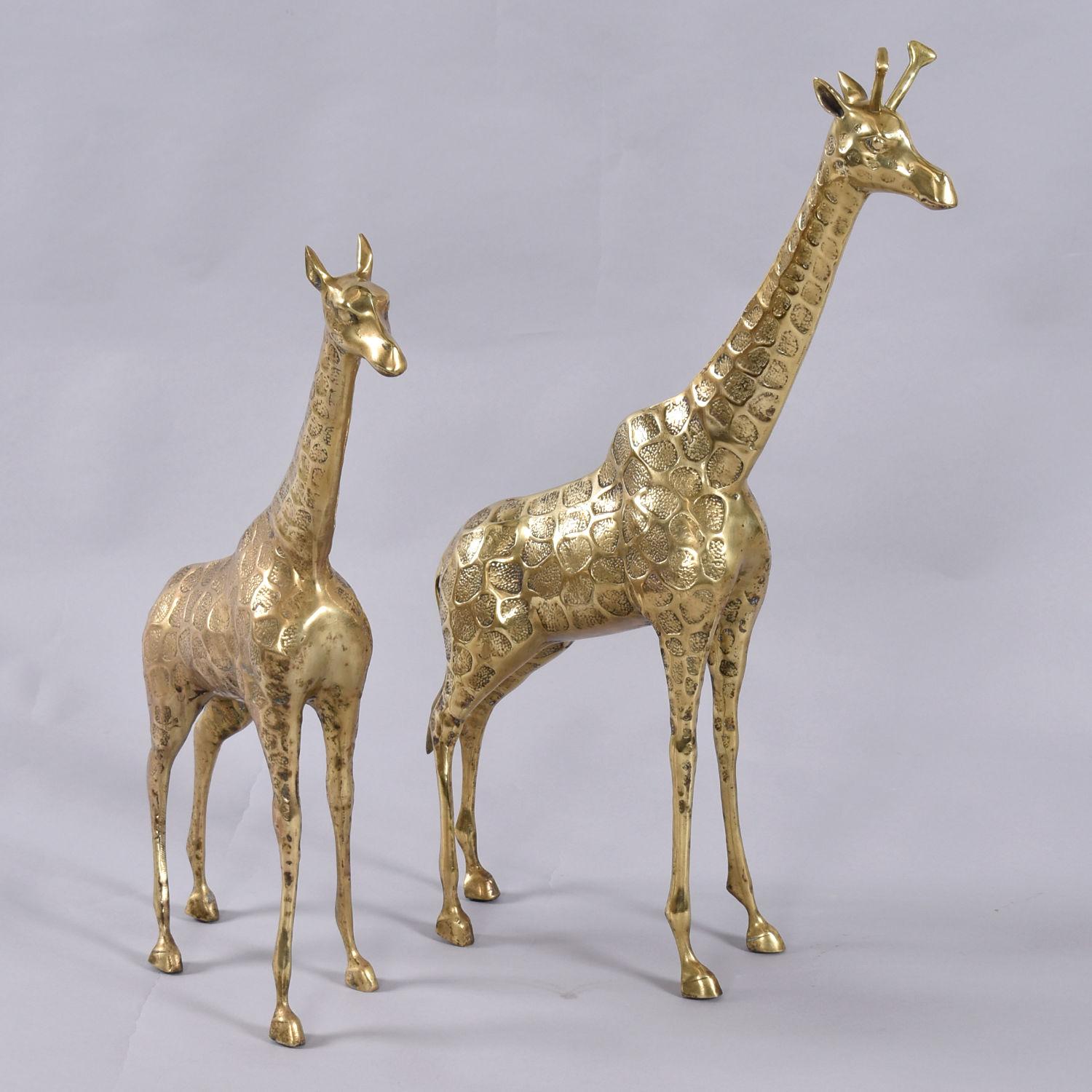 Pair of large scale solid brass giraffe sculptures. This stunning pair varies in size. The largest of the two stands at 26.5 inches tall. The smaller mate is 22.5 inches high. Each of these majestic animals is beautifully modeled with attention to