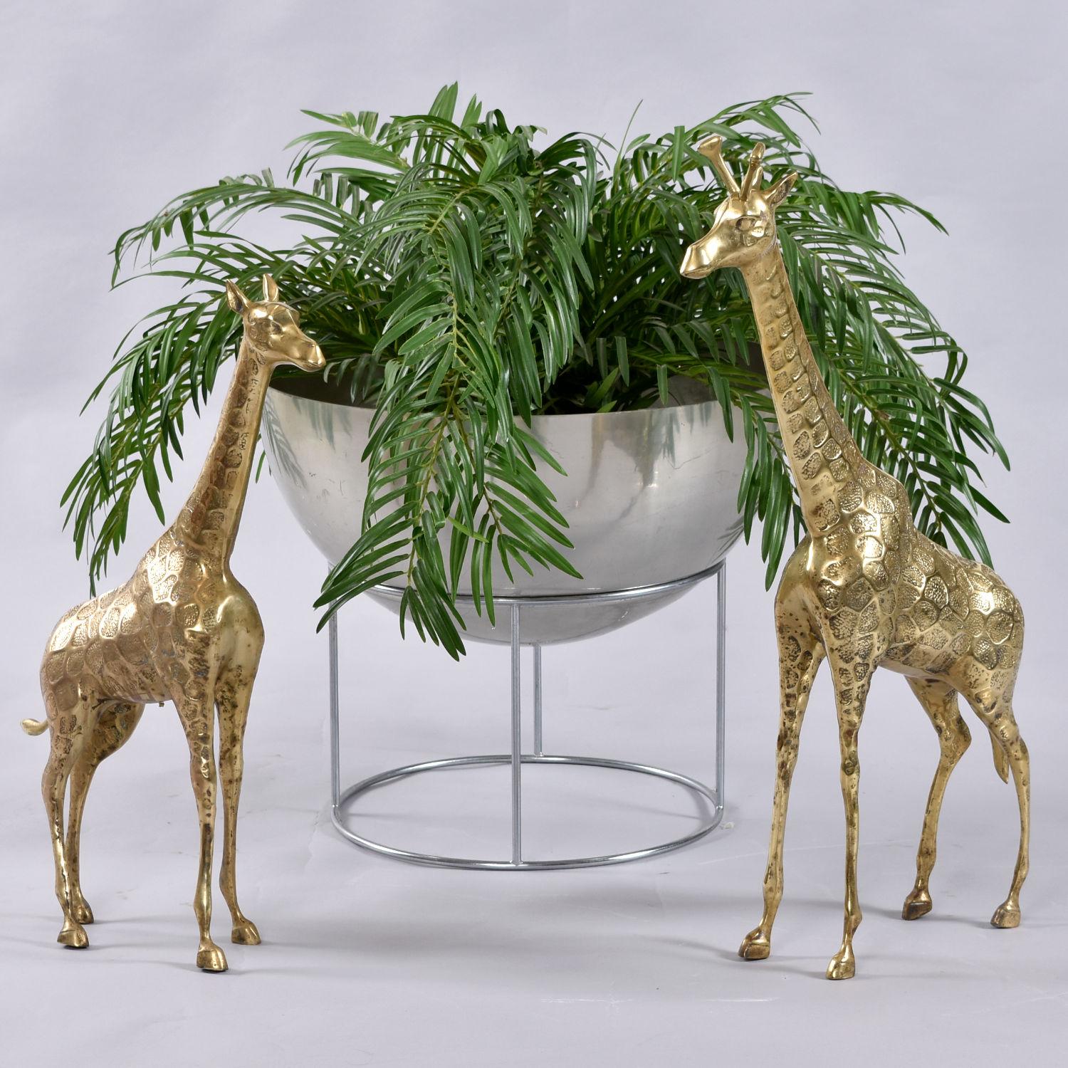 Pair of Tall Brass Giraffe Figurine Sculptures Over 2 Feet For Sale 1