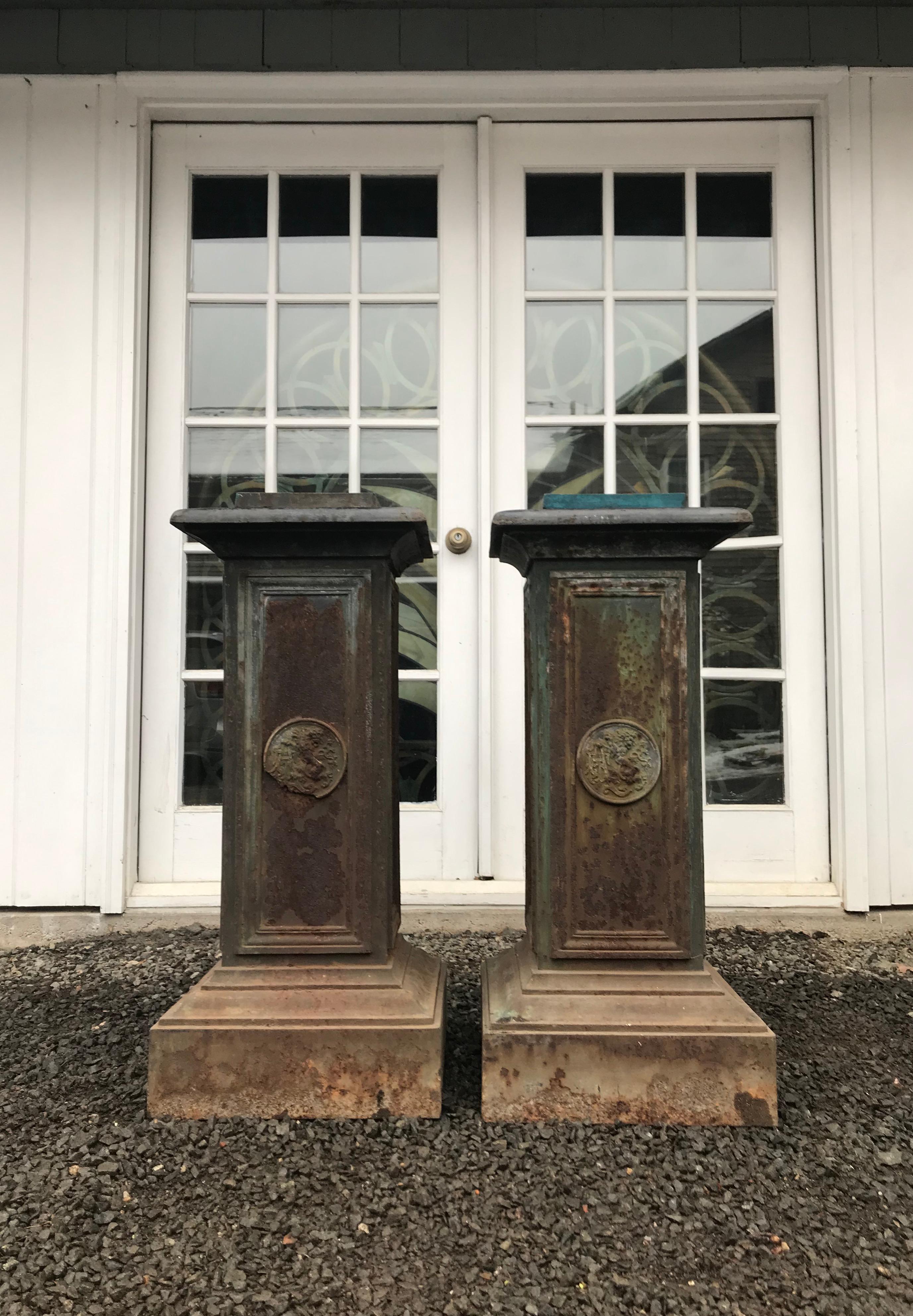 Pair of Tall Cast Iron Medici Urns on Pedestals with French Republic Medallions For Sale 5