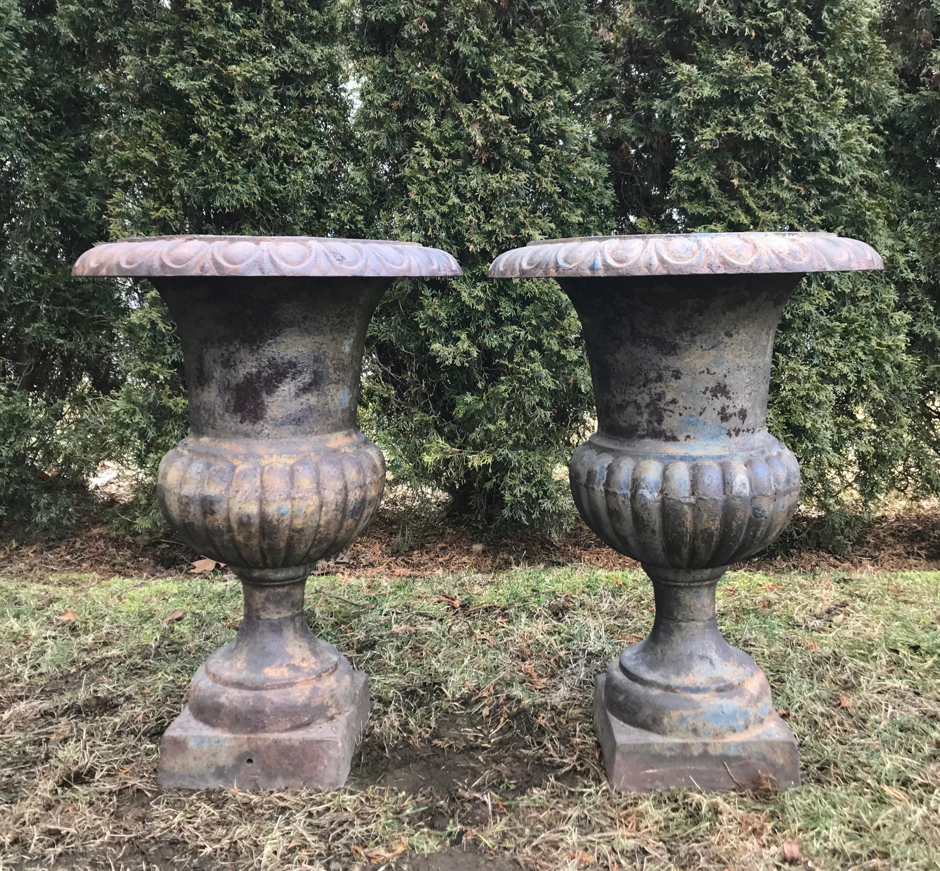 19th Century Pair of Tall Cast Iron Medici Urns on Pedestals with French Republic Medallions For Sale