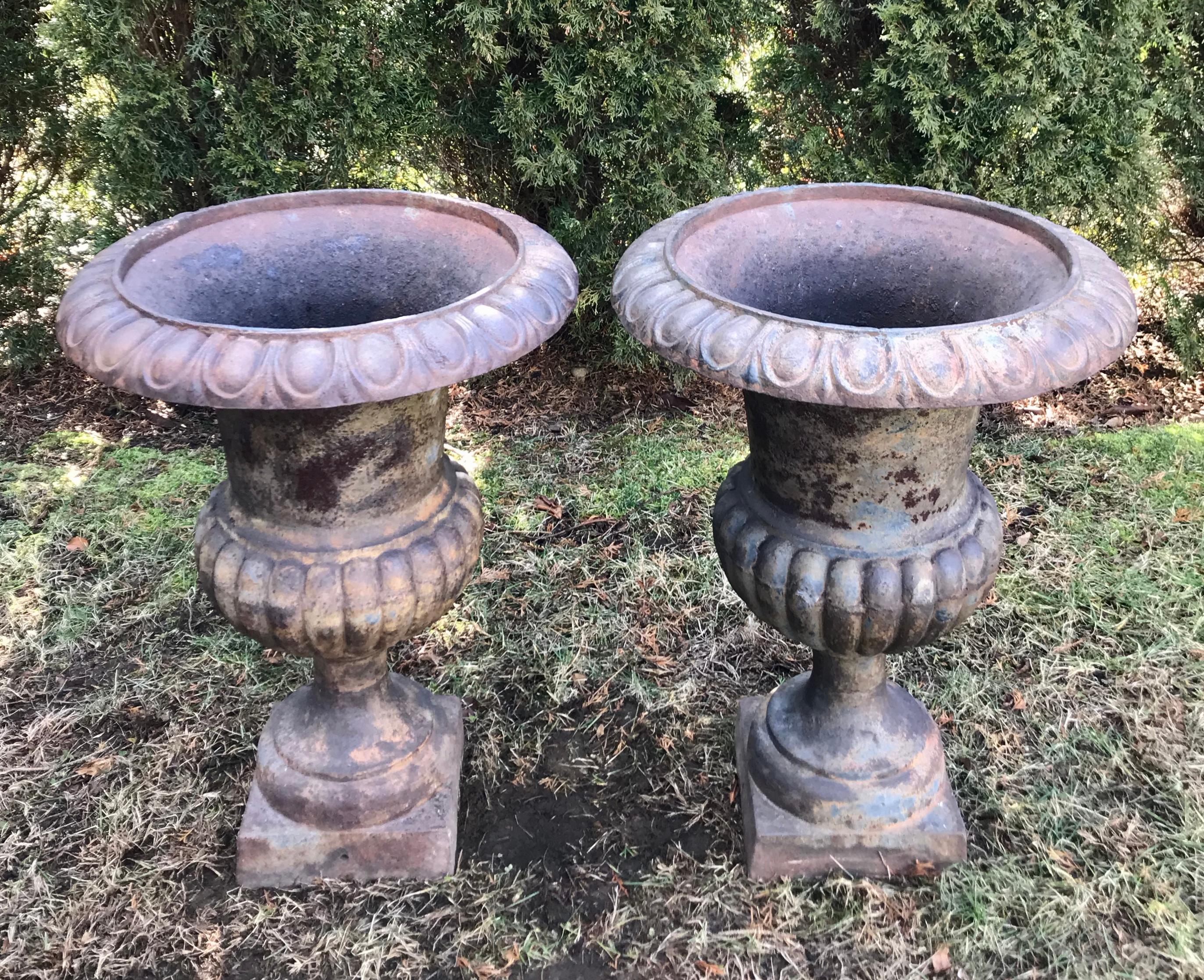 Pair of Tall Cast Iron Medici Urns on Pedestals with French Republic Medallions For Sale 1