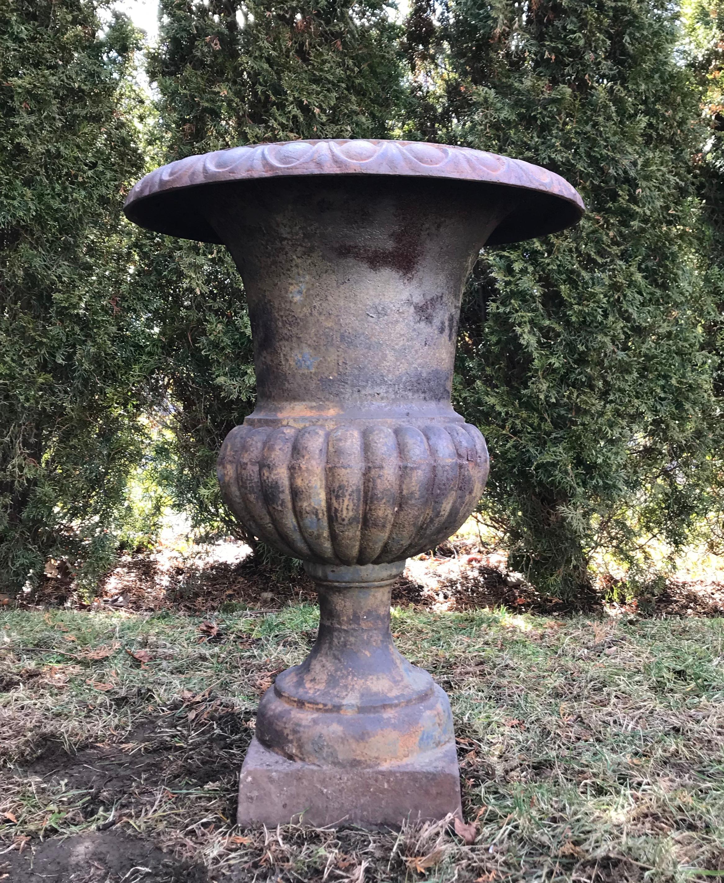 Pair of Tall Cast Iron Medici Urns on Pedestals with French Republic Medallions For Sale 3