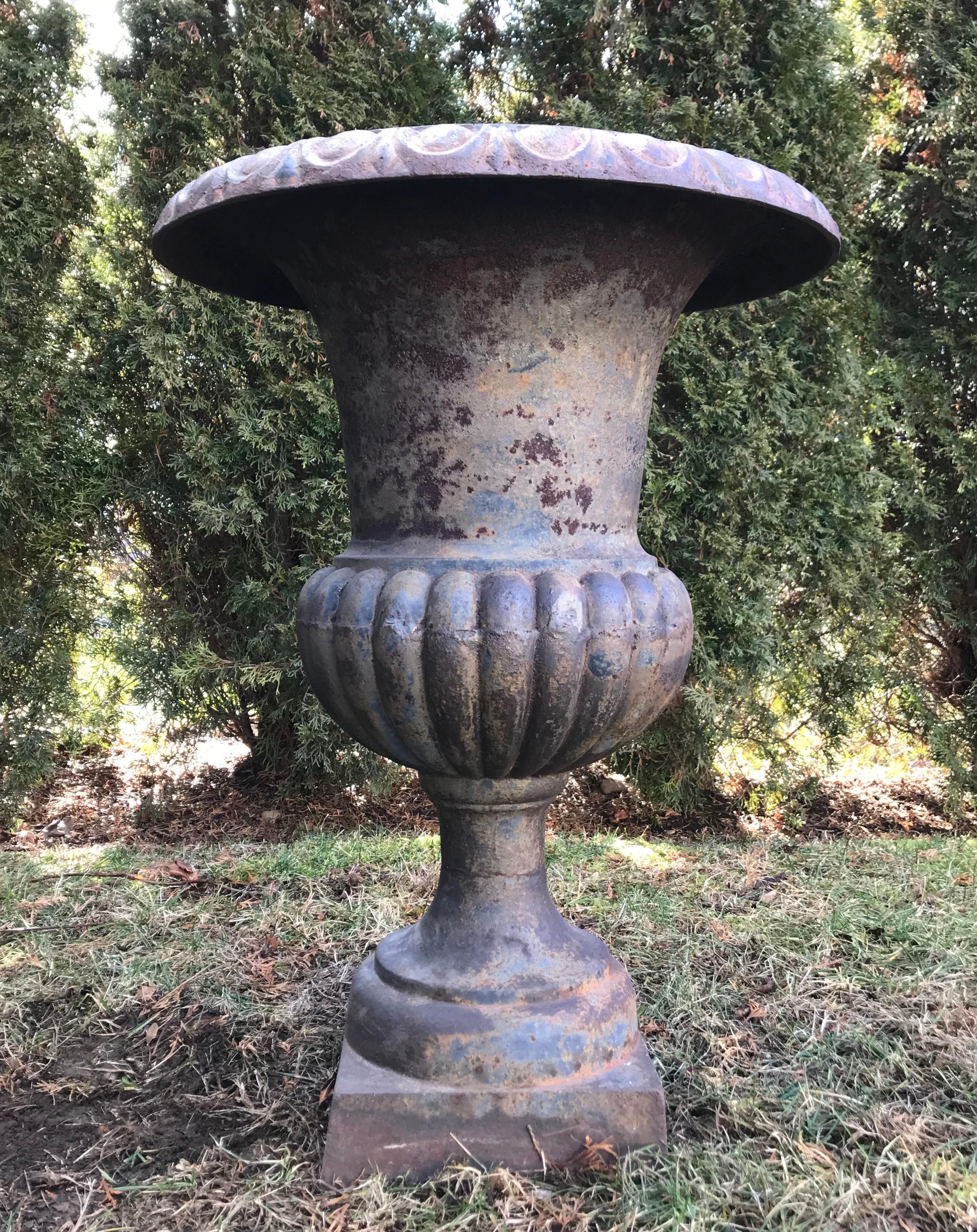 Pair of Tall Cast Iron Medici Urns on Pedestals with French Republic Medallions For Sale 4