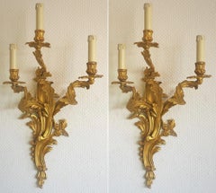 Pair of Tall French Louis XVI Style Gilt Dore Bronze Electrified Wall Sconces