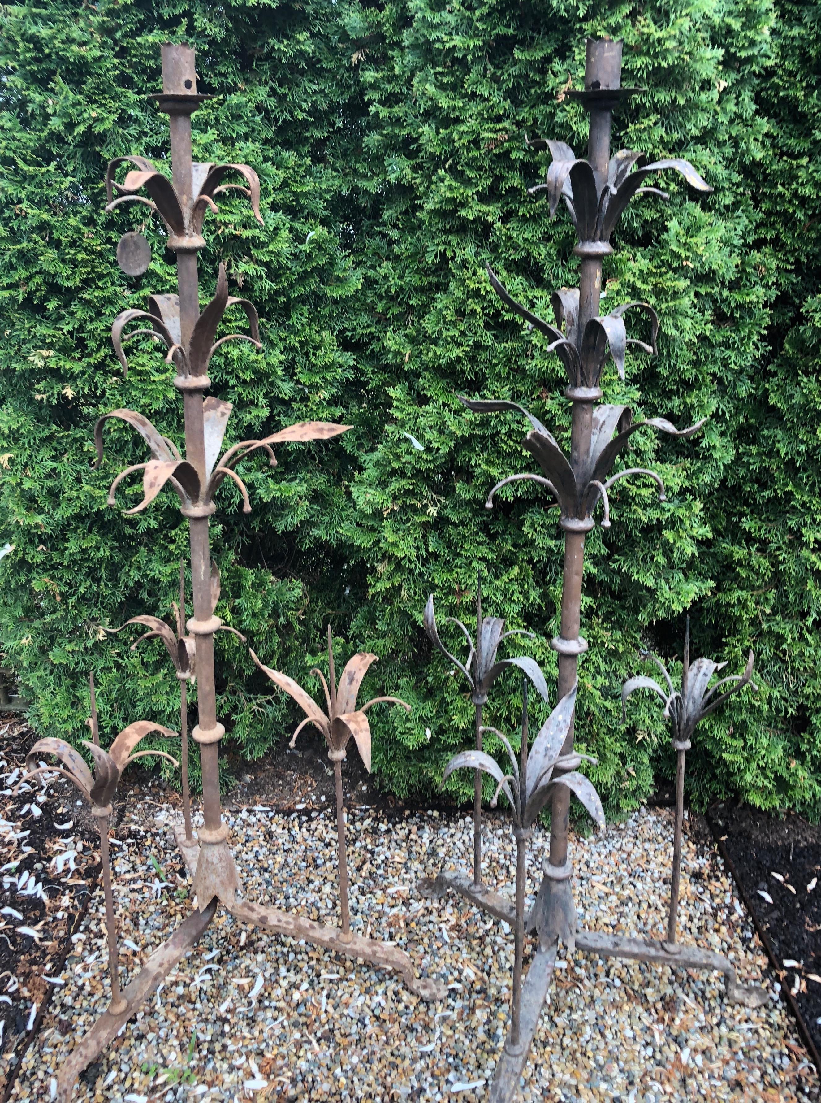 These leaf-motif candelabra are simply stunning. In an old rusty surface with traces of gilding on some leaves, they would be magnificent converted into standing lamps with large cylindrical shades. Their detail is exceptional and their presence