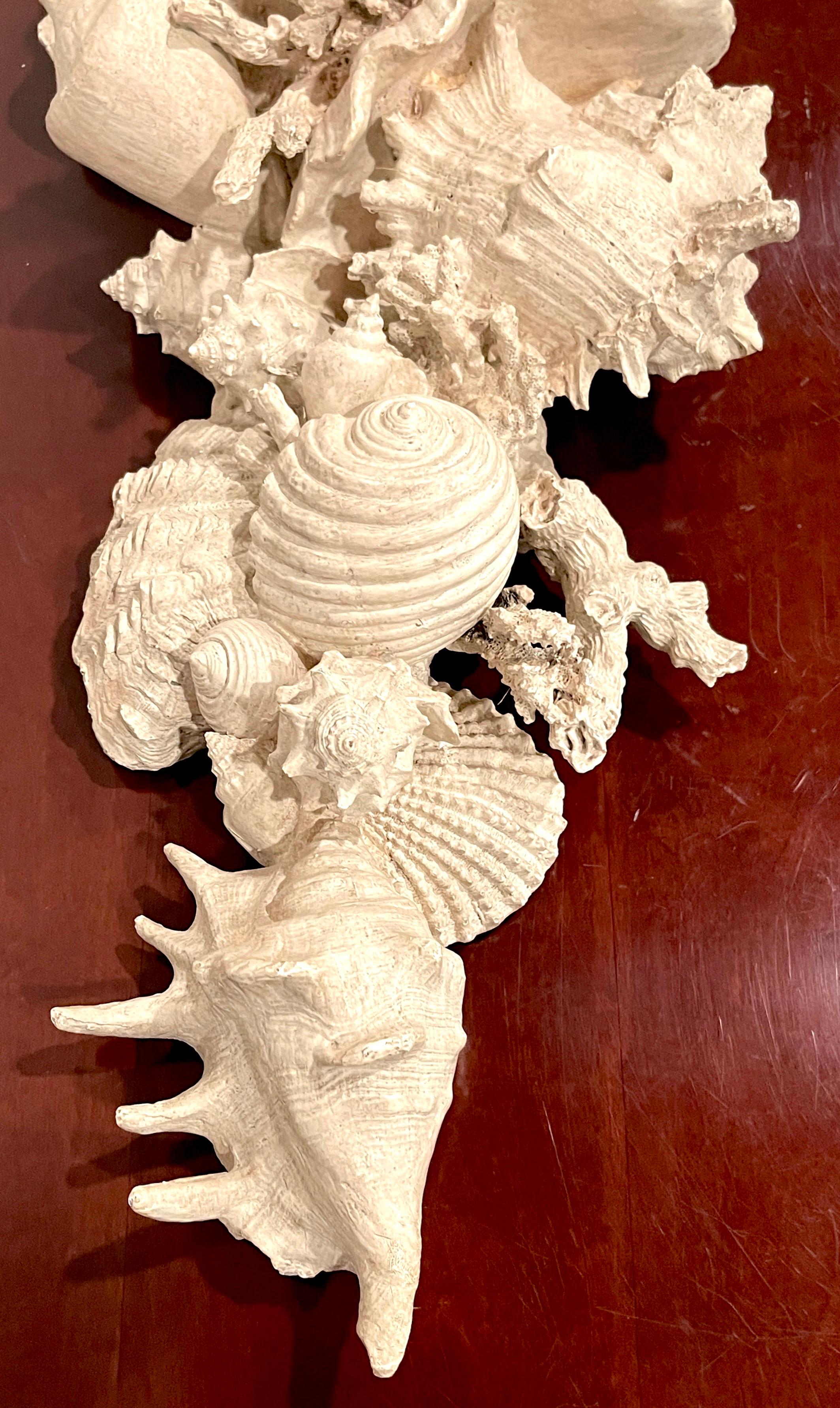 Pair of Tall 'Narragansett' Shell & Coral Motif Wall Brackets  For Sale 3
