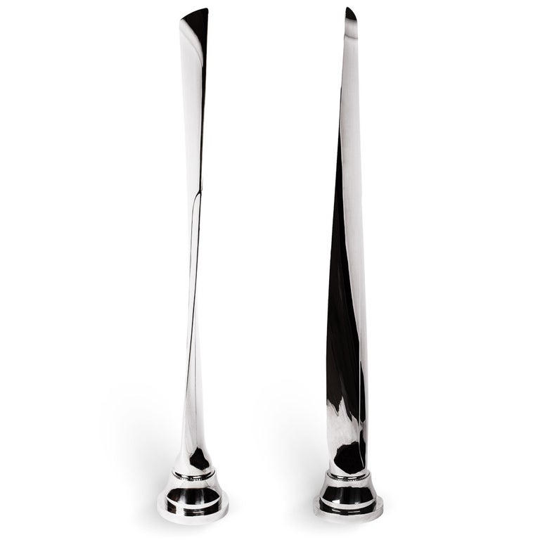 A stunning pair of Airplane propeller blades, each highly polished to mirror effect, very decorative as modernist sculptures, for display or collection use only.

The manufacturer of the propellers is Dowty Rotol, a British engineering company