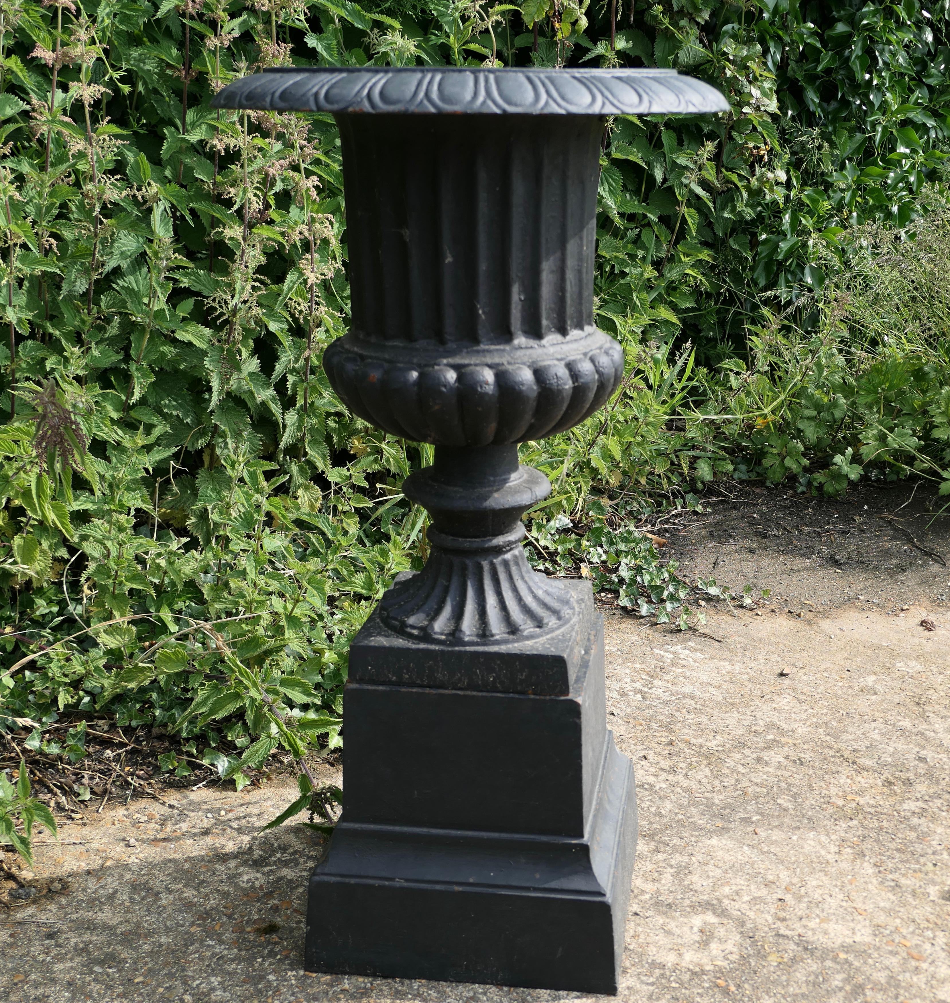 20th Century Pair of Tall Weathered Cast Iron Urns, Garden Planters
