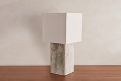 Paire de grandes lampes de bureau Willy Guhl