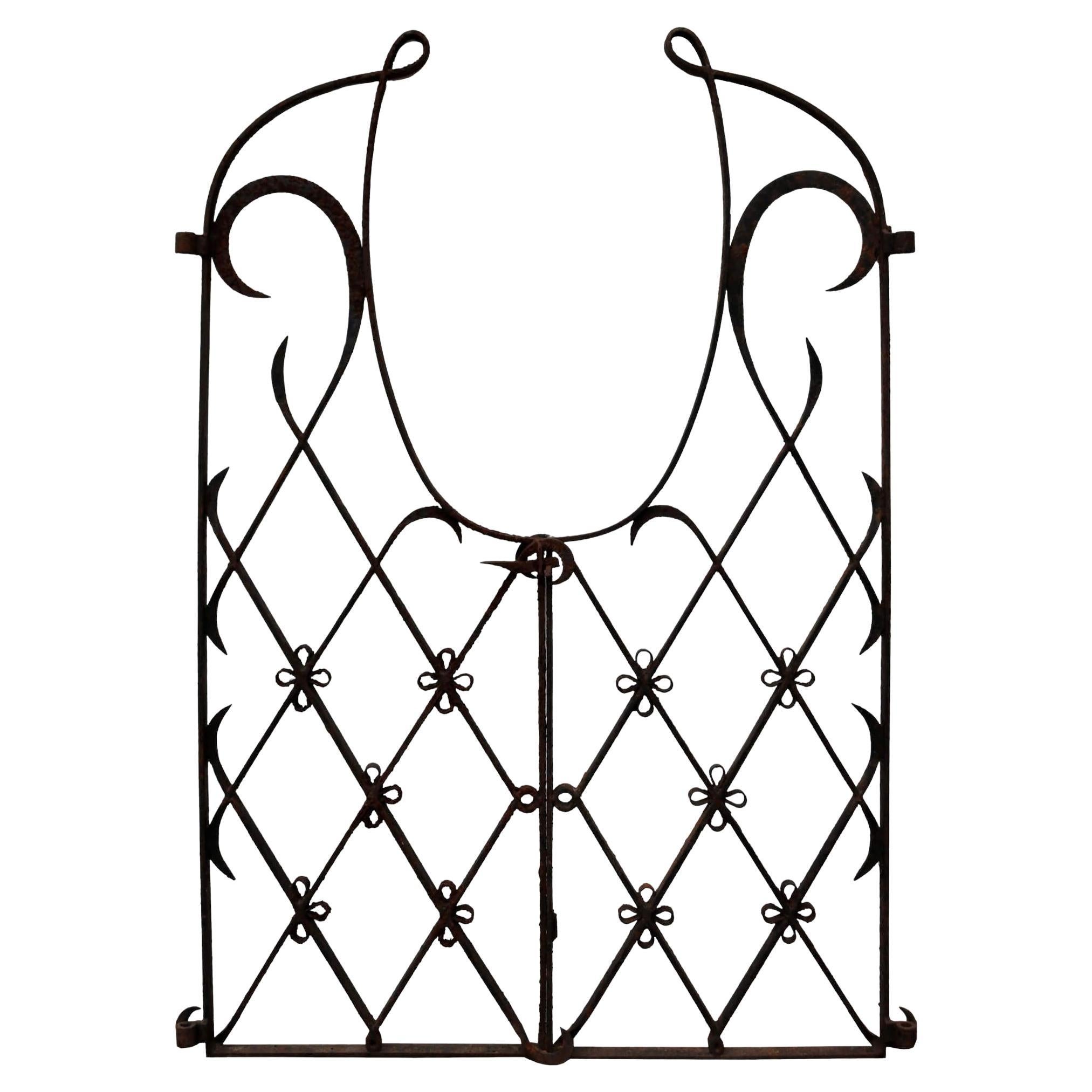 Pair of Tall Wrought Iron Gates with Unusual Design For Sale