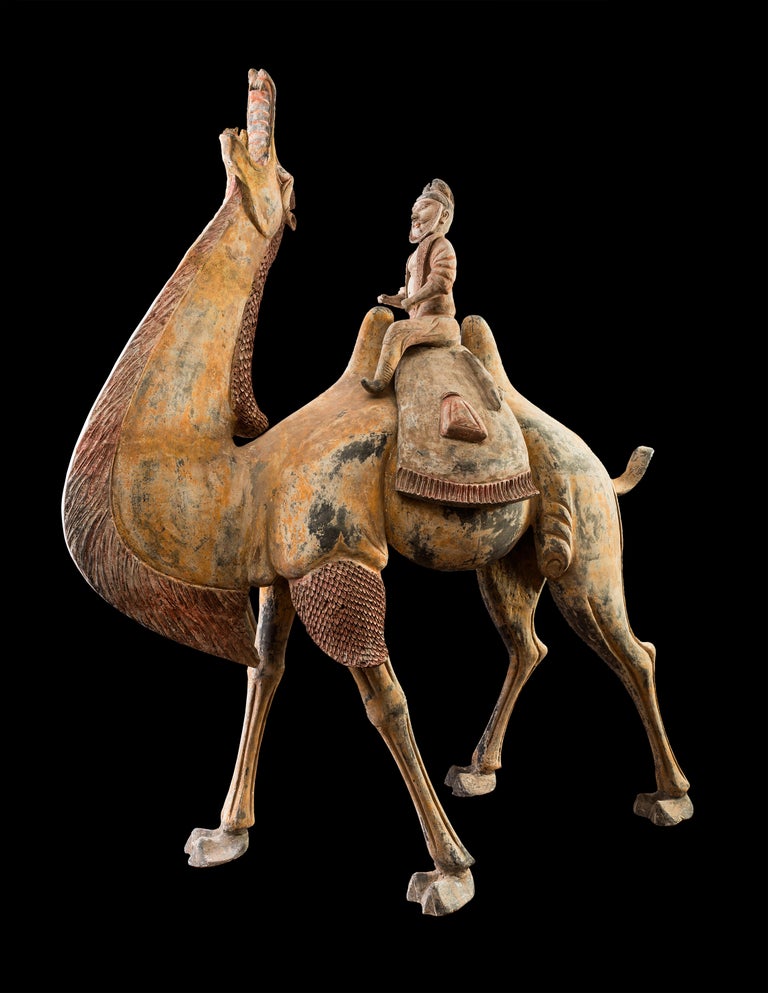A Pair of Tang Dynasty Chinese Terracotta Bactrian Camels with Riders 3