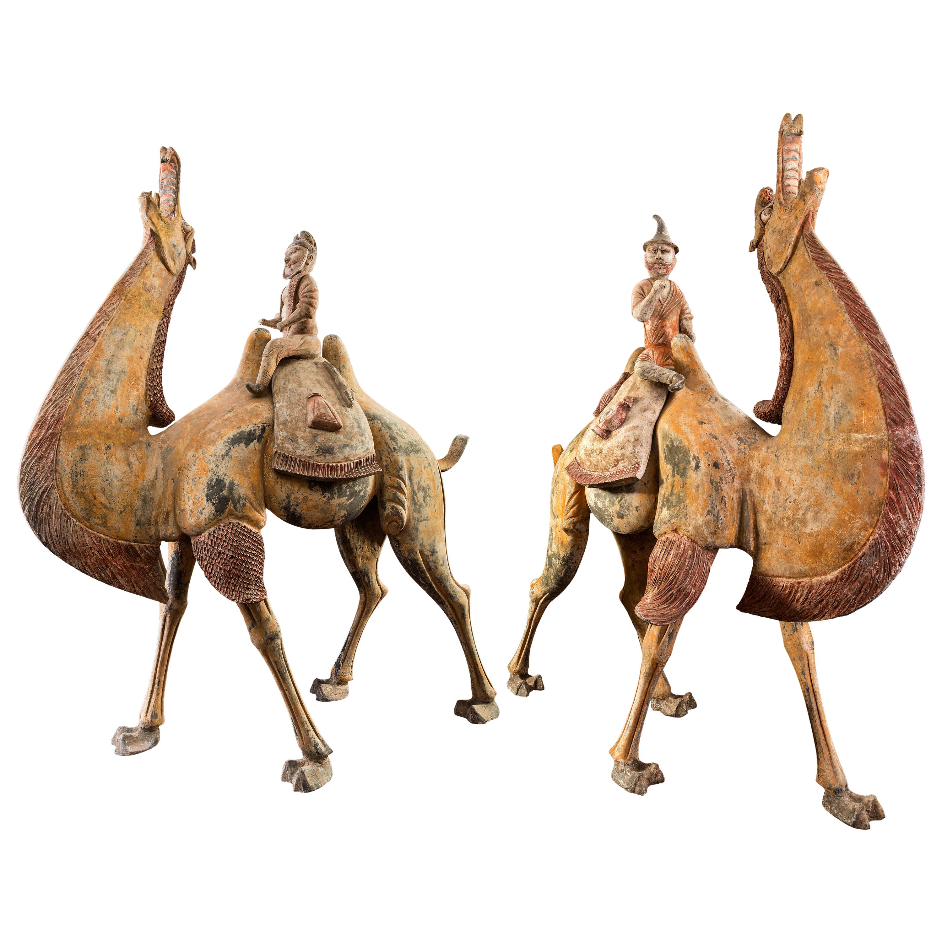 A Pair of Tang Dynasty Chinese Terracotta Bactrian Camels with Riders For Sale