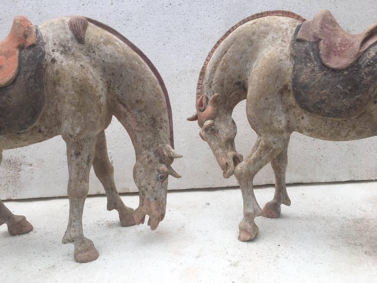 Pair of Tang Dynasty Horses In Good Condition For Sale In Los Angeles, CA