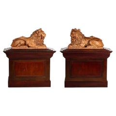 Coppia di leoni guardiani in terracotta su piedistalli in mogano, fine del XIX secolo
