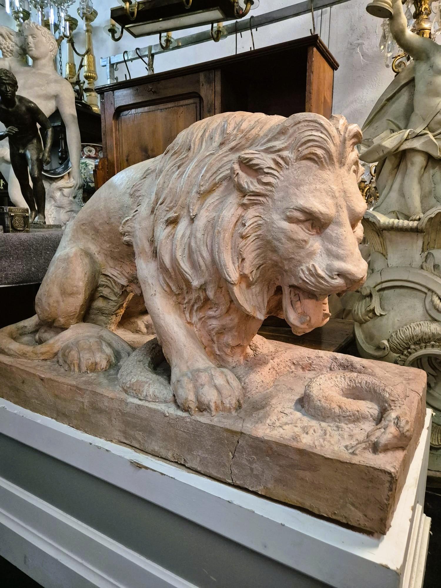 Coppia di leoni in terracotta su una base, XIX secolo in vendita 5