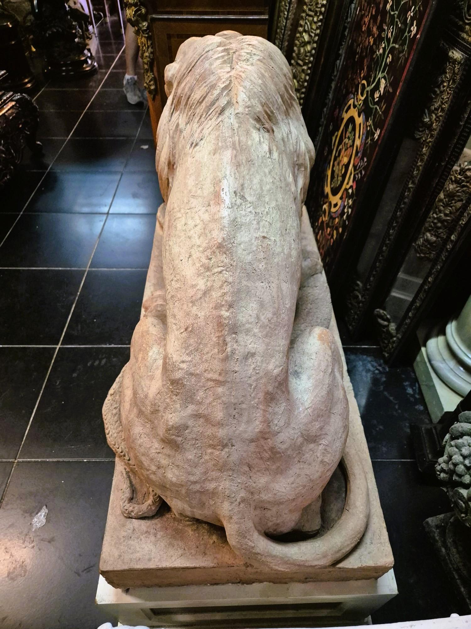 Coppia di leoni in terracotta su una base, XIX secolo in vendita 9