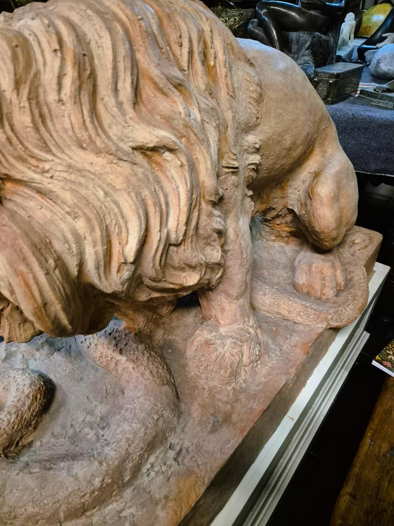 Coppia di leoni in terracotta su una base, XIX secolo in vendita 12
