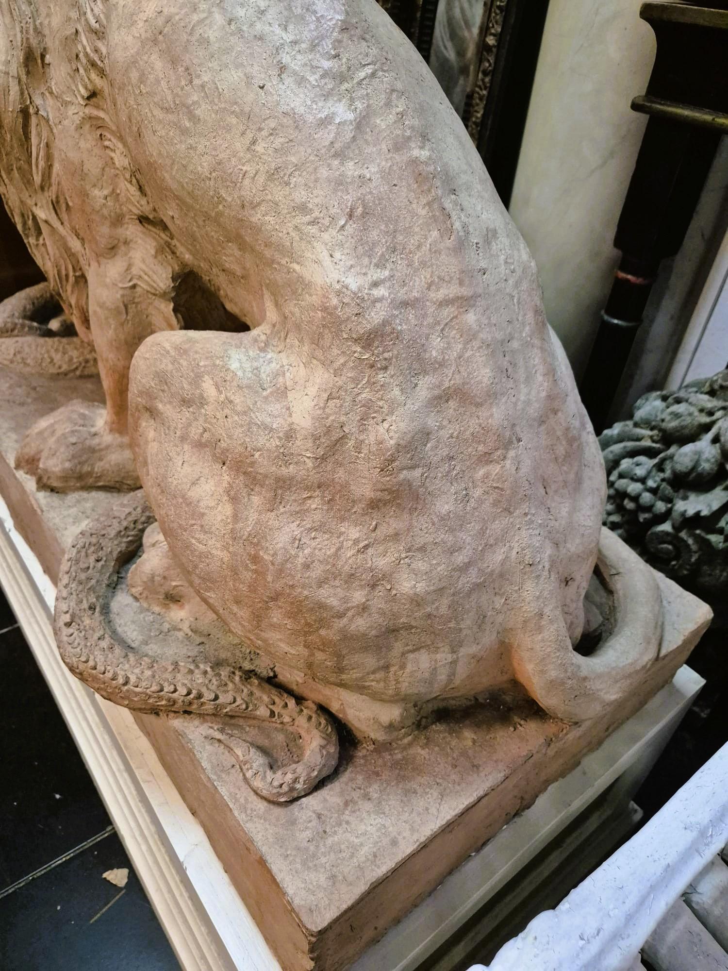 Coppia di leoni in terracotta su una base, XIX secolo in vendita 14
