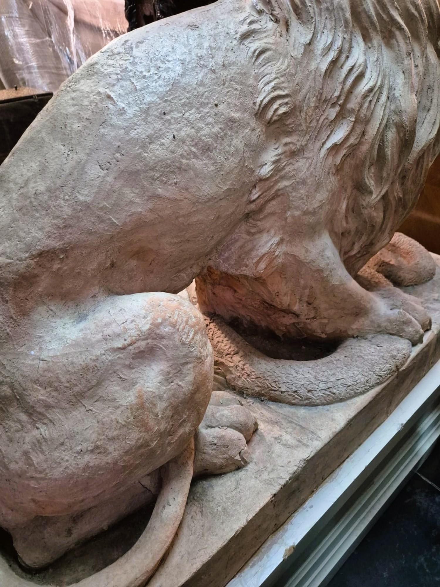 Coppia di leoni in terracotta su una base, XIX secolo In condizioni buone in vendita a MARSEILLE, FR